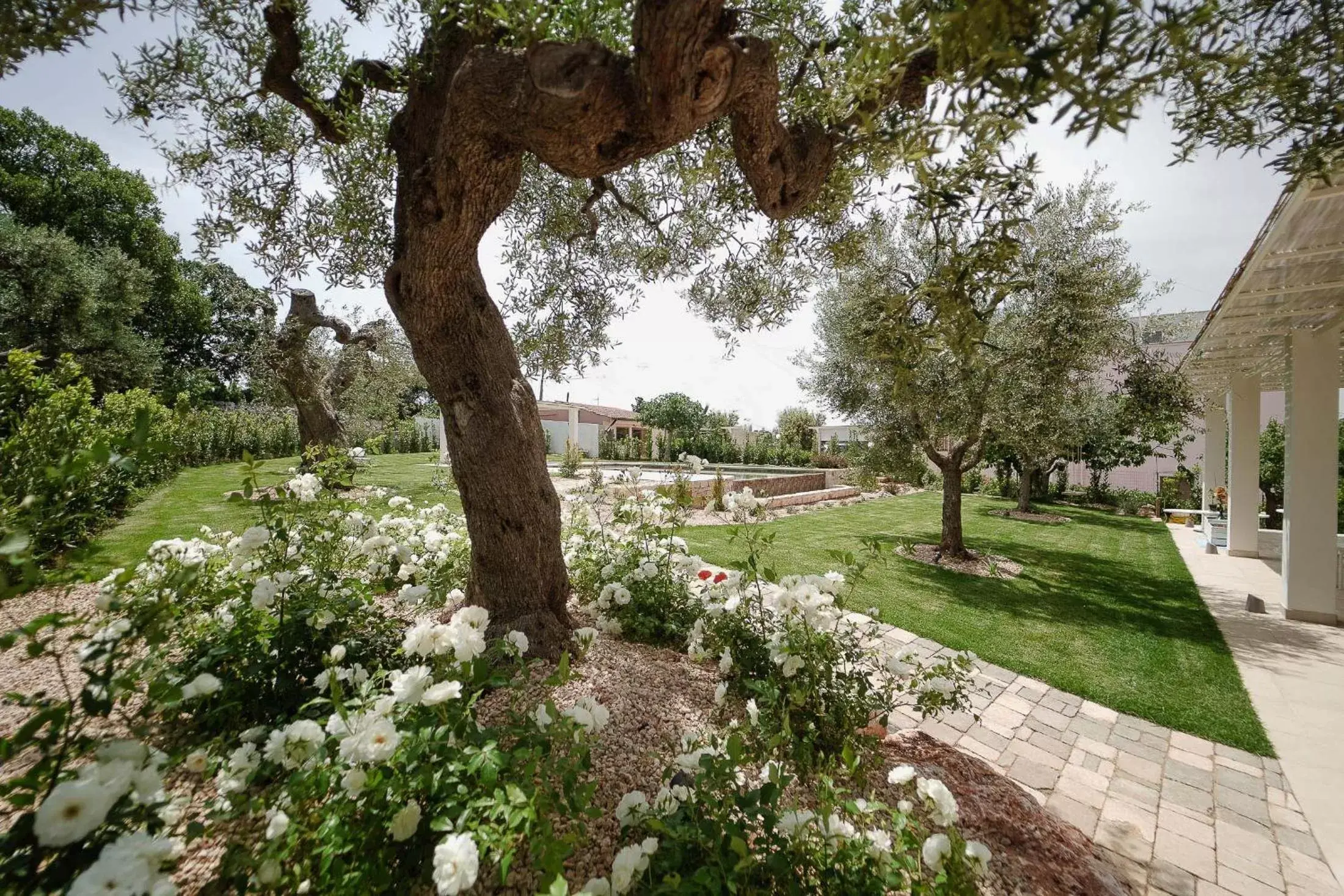 Garden in ALMASOL - Charme Experience