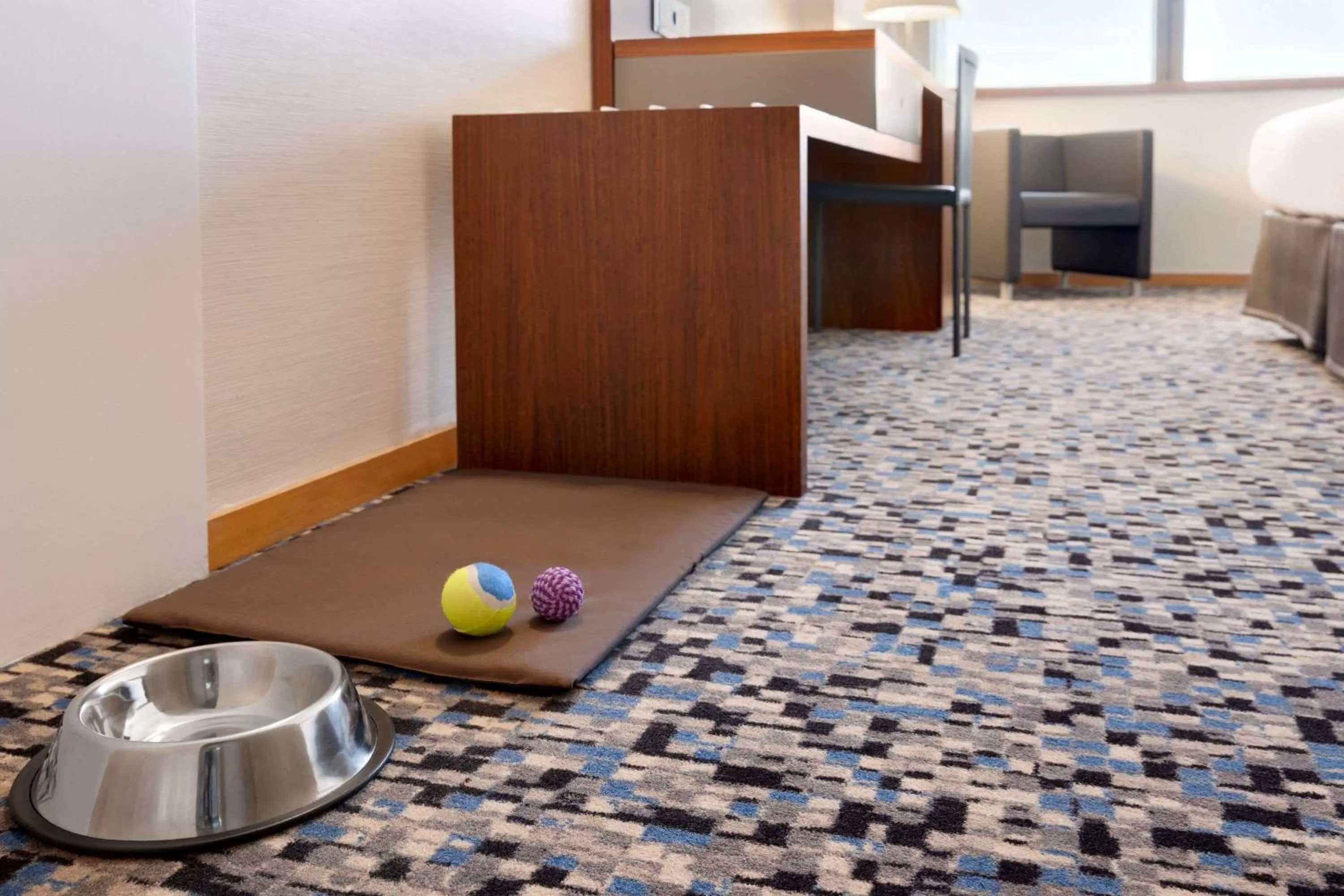 Animals in Ramada by Wyndham Lisbon