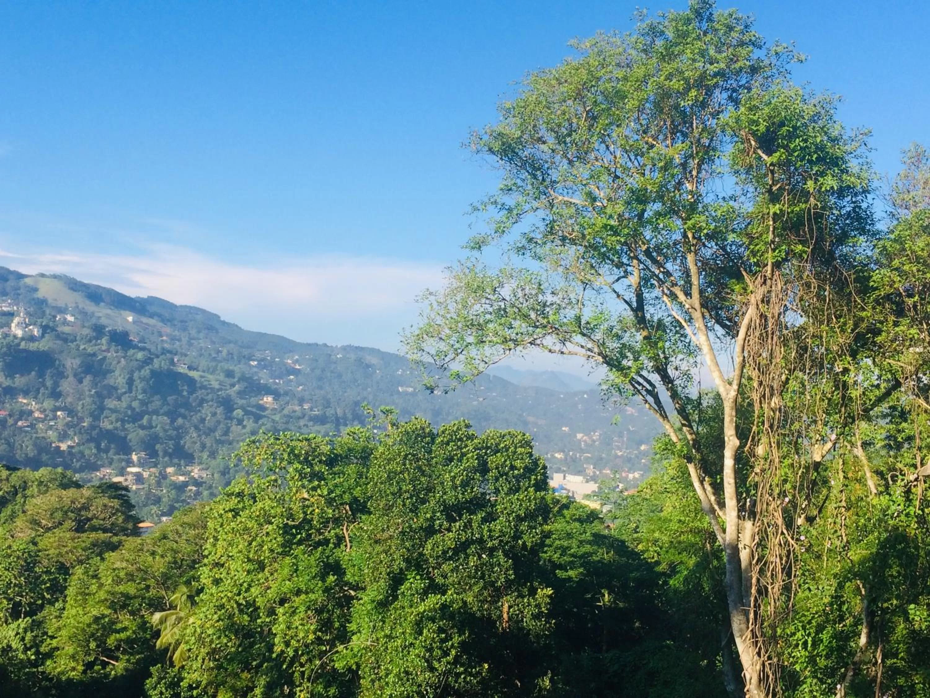 Mountain view in Selyna Sky Terrace