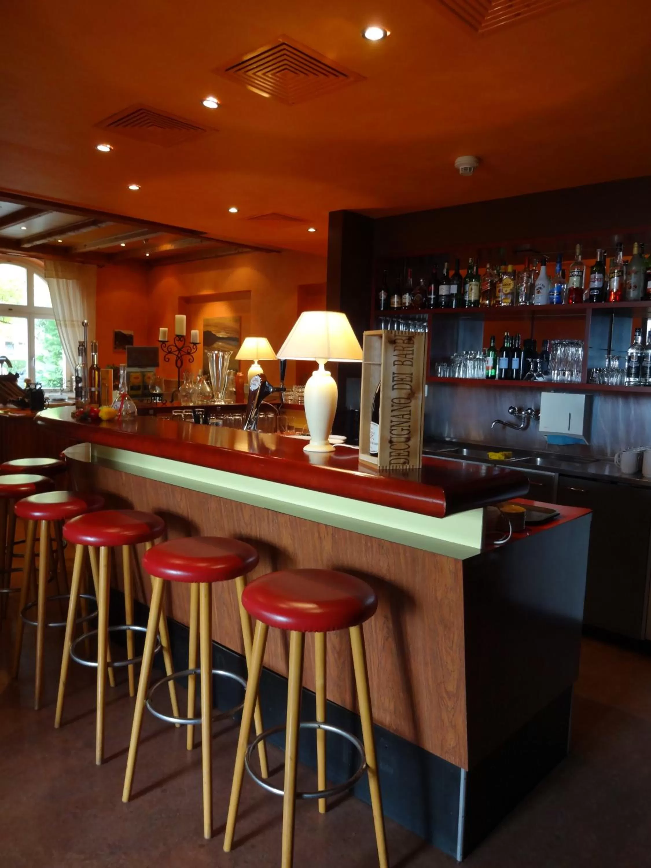 Lounge or bar in Hotel Schweizerhof