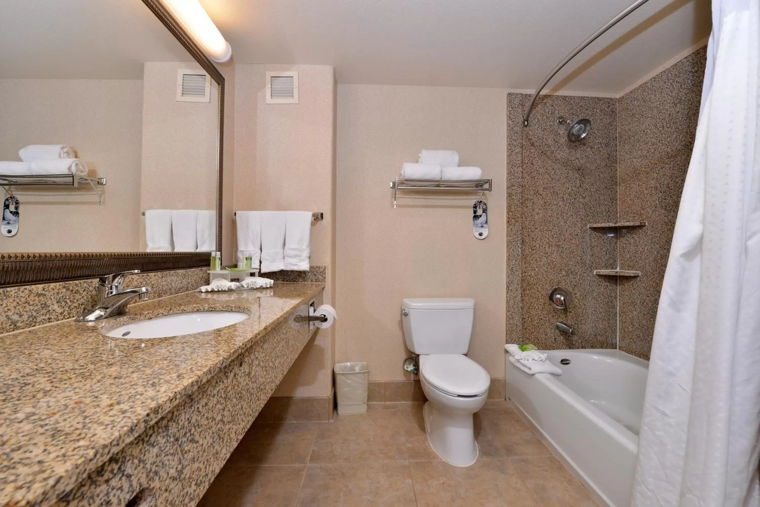 Bathroom in Holiday Inn Express Hotel & Suites Lincoln-Roseville Area, an IHG Hotel