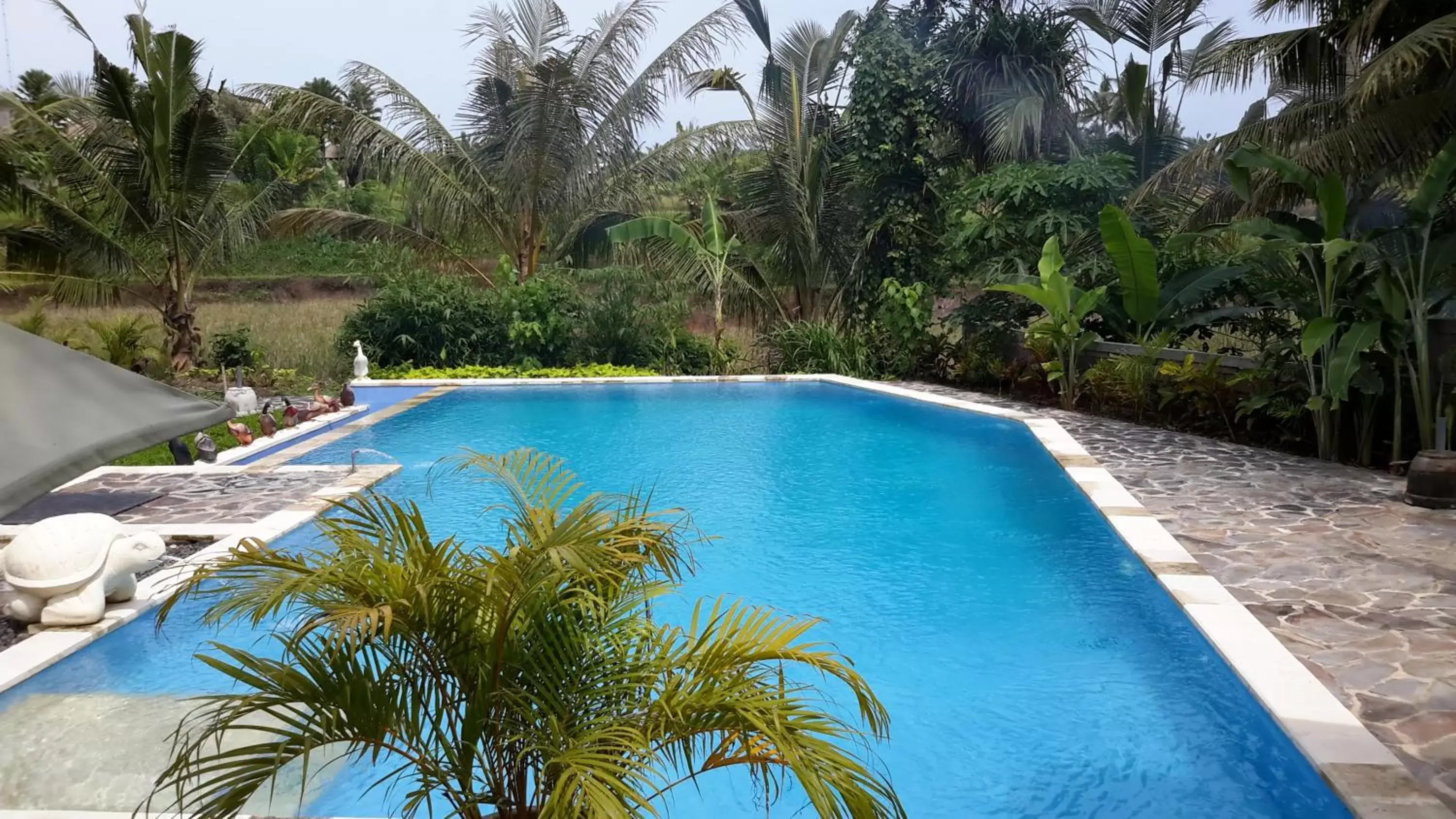 Swimming pool, Pool View in Gita Maha Ubud Hotel by Mahaputra-CHSE Certified