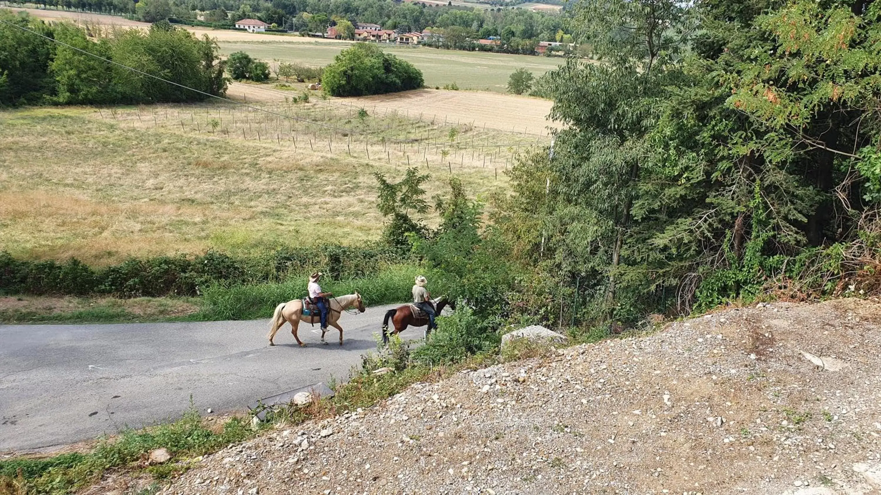 Garden view, Horseback Riding in B&B LE TERME