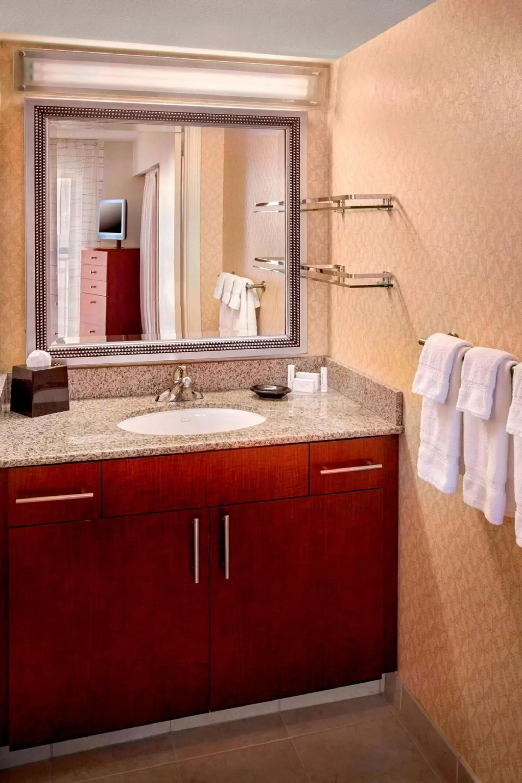 Bathroom in Sonesta ES Suites Boston Westborough