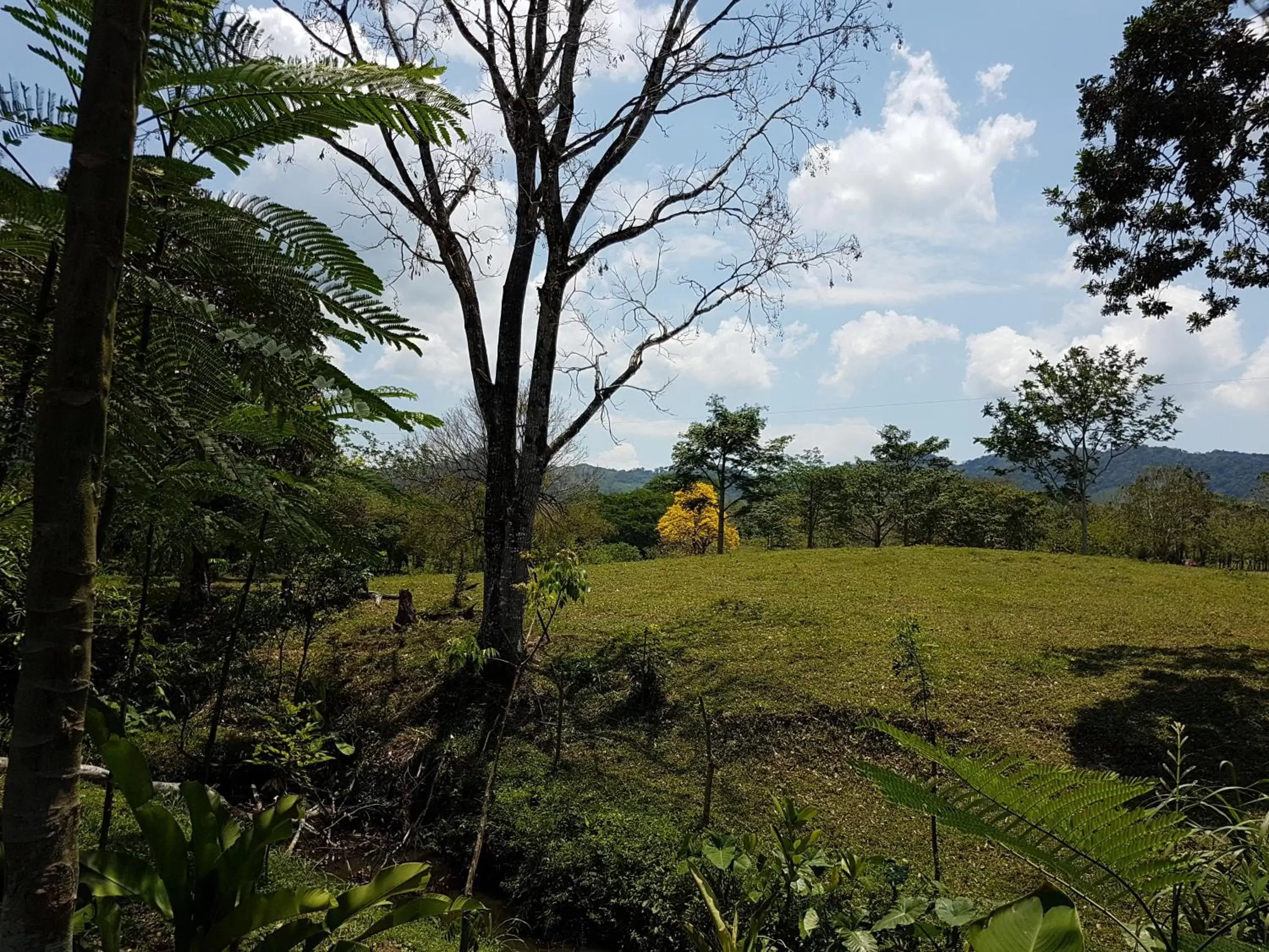 Mountain view in Auto Hotel Paraíso Inn