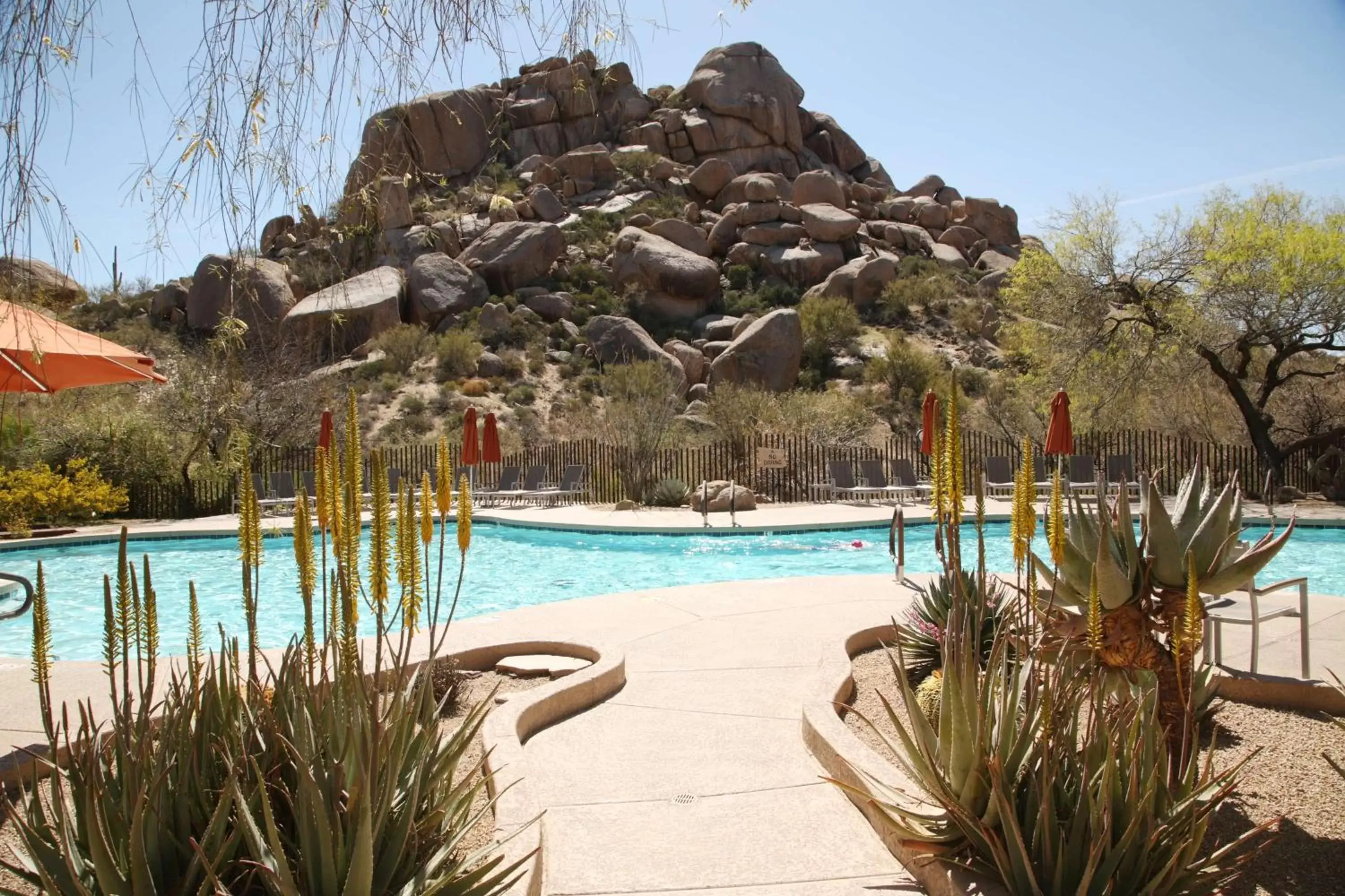 Swimming Pool in Boulders Resort & Spa Scottsdale, Curio Collection by Hilton