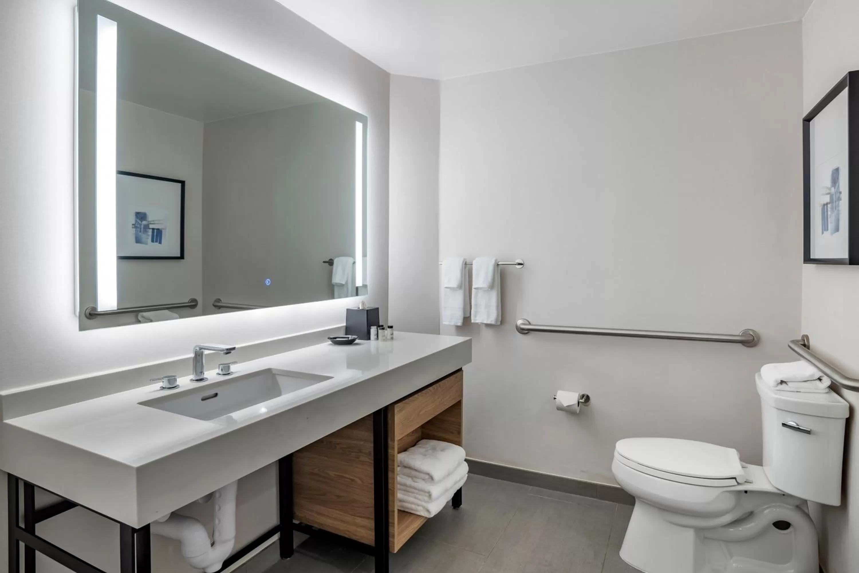 Bathroom in Sheraton Suites Wilmington Downtown