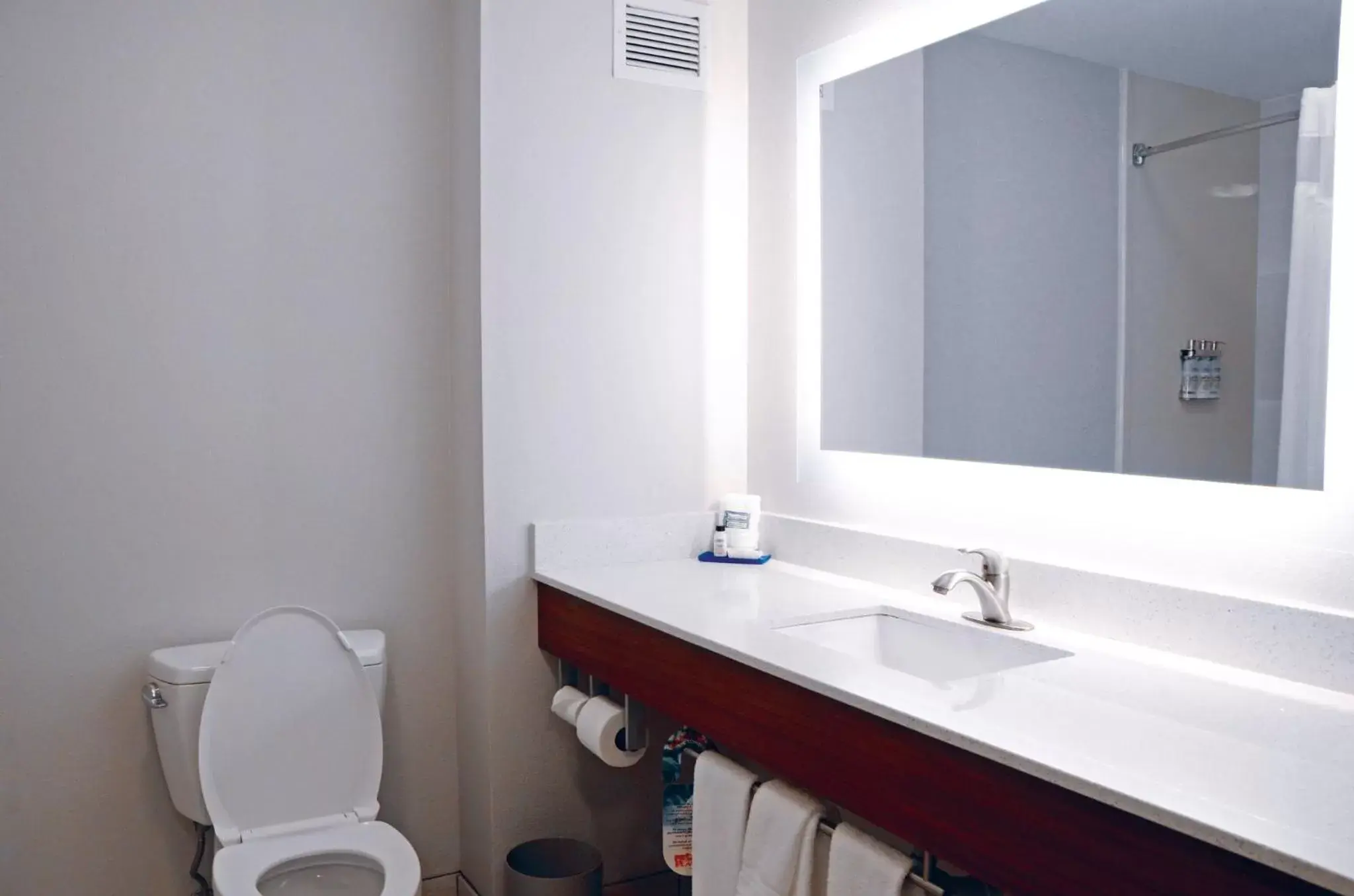 Bathroom in Holiday Inn Express Hotel & Suites Mount Juliet - Nashville Area by IHG Bathroom in Holiday Inn Express Hotel & Suites Mount Juliet - Nashville Area by IHG