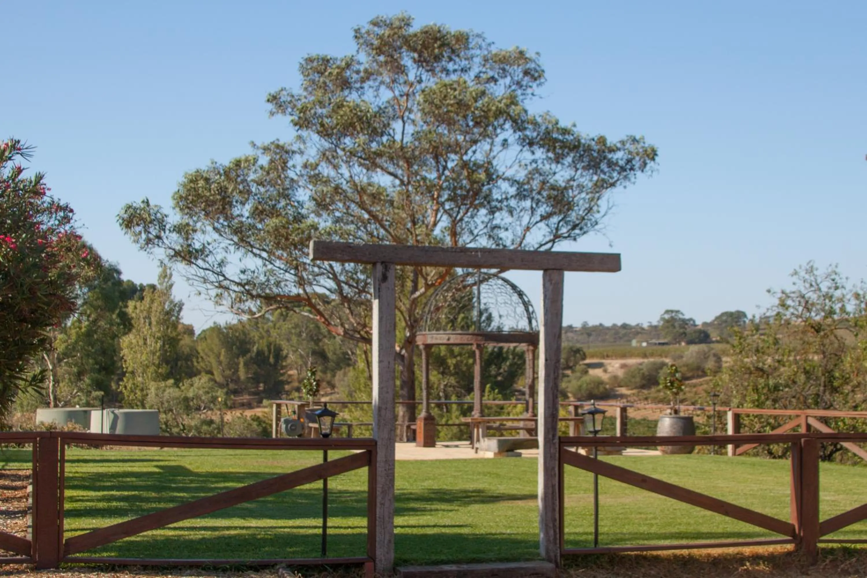Garden in Angaston Vineyards Motel