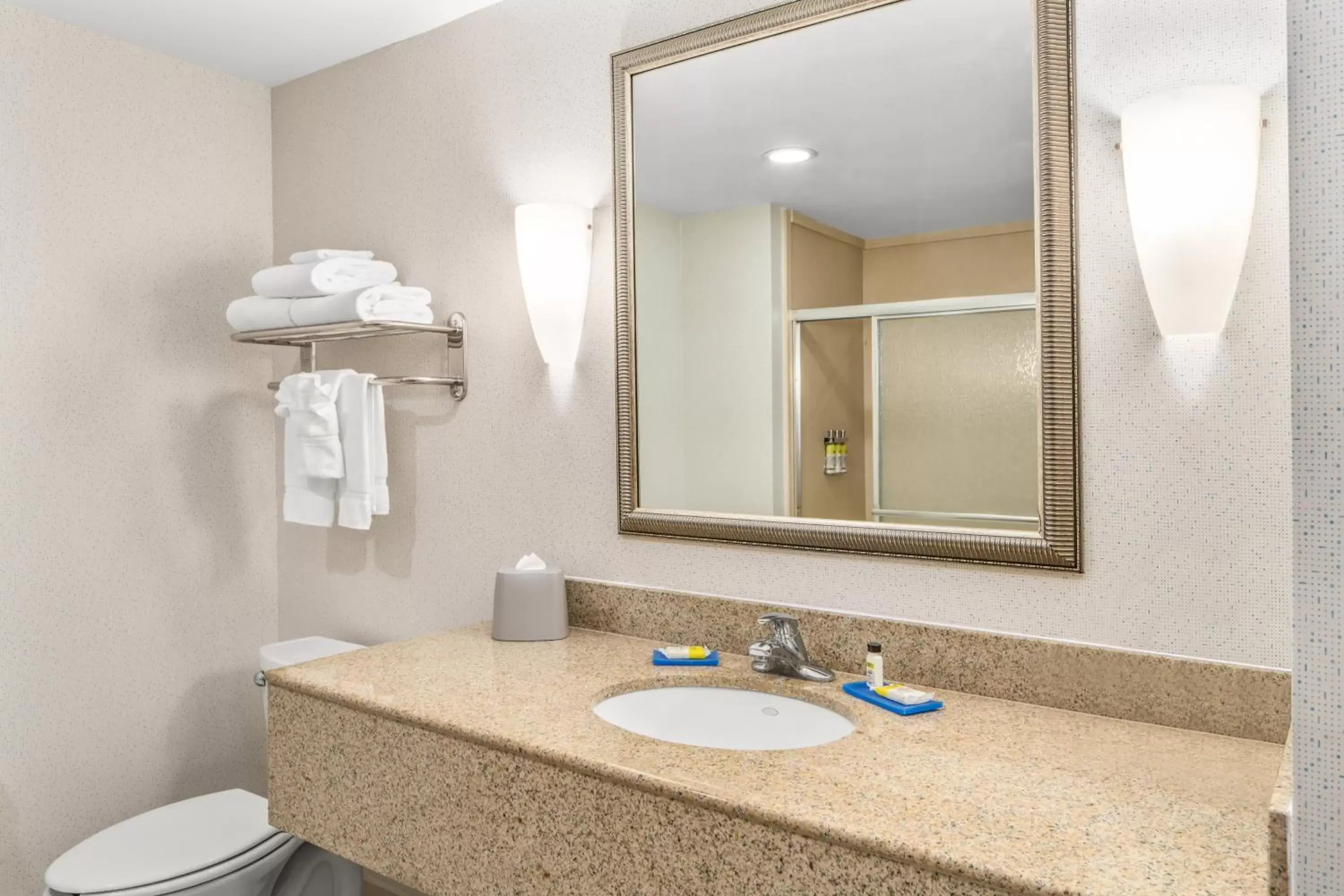Bathroom in Holiday Inn Express & Suites Wilmington-Newark, an IHG Hotel