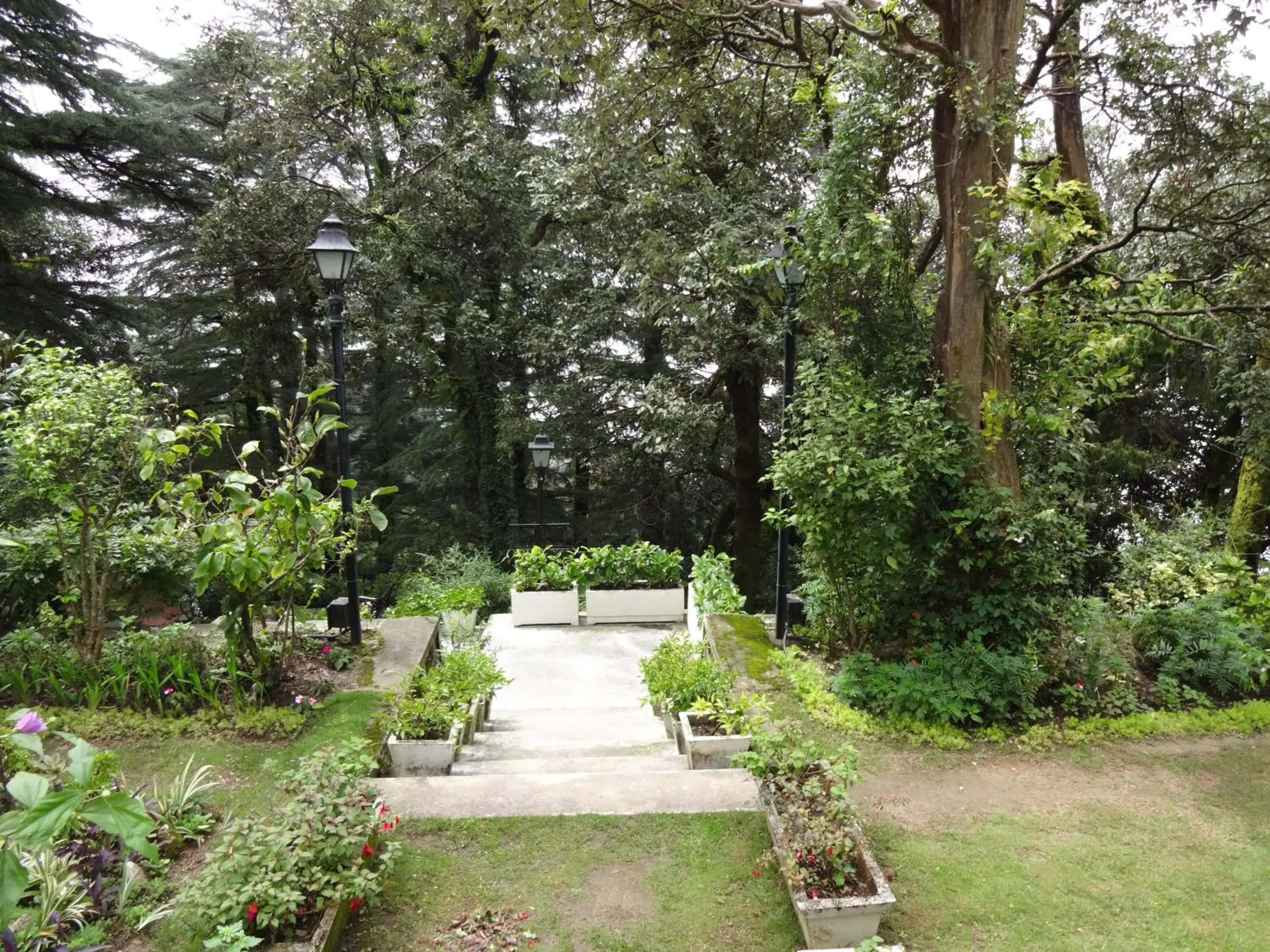 Day, Garden in The Claridges Nabha Residence-Heritage