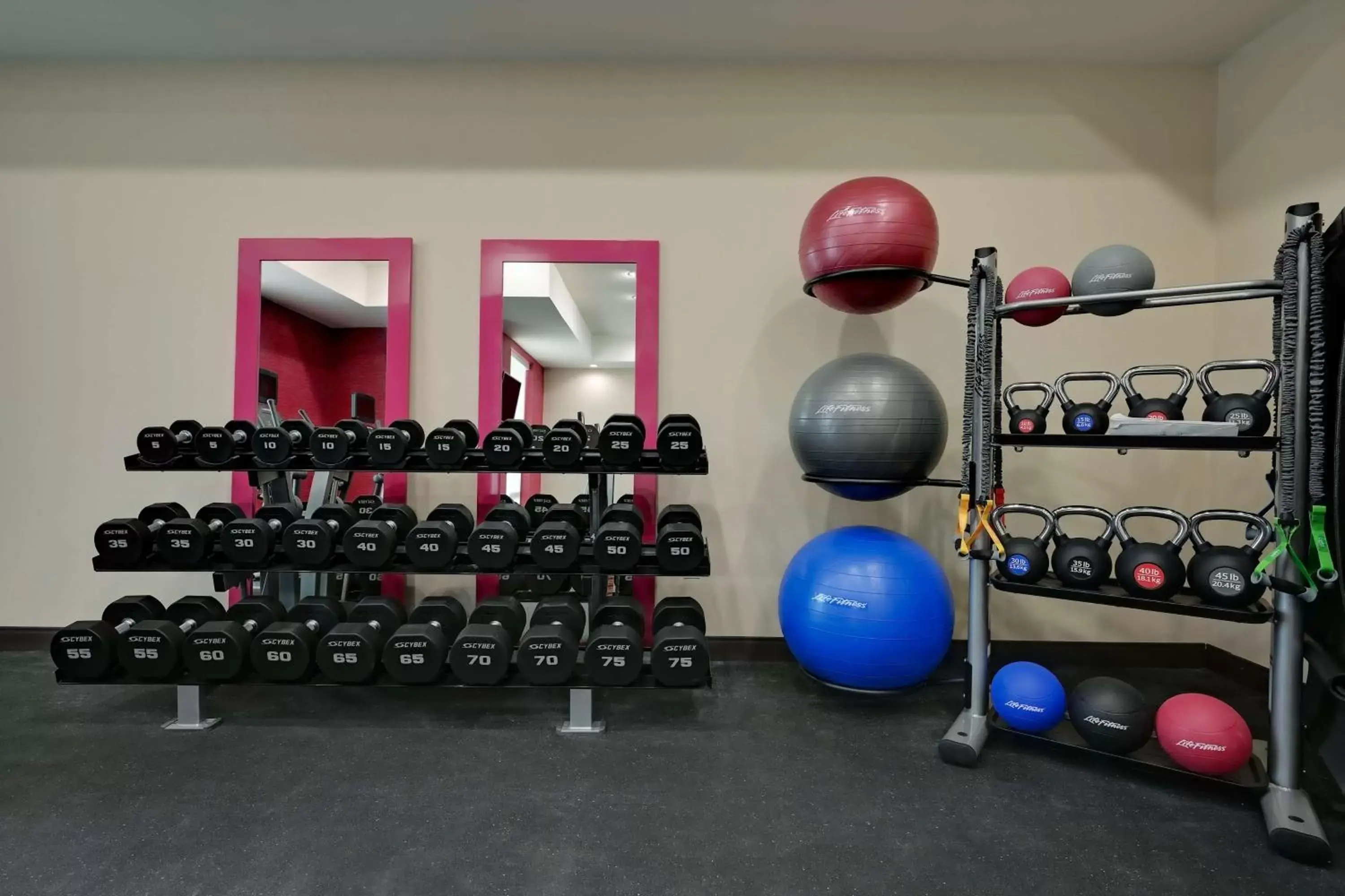 Fitness centre/facilities, Fitness Center/Facilities in Home2 Suites By Hilton Temple