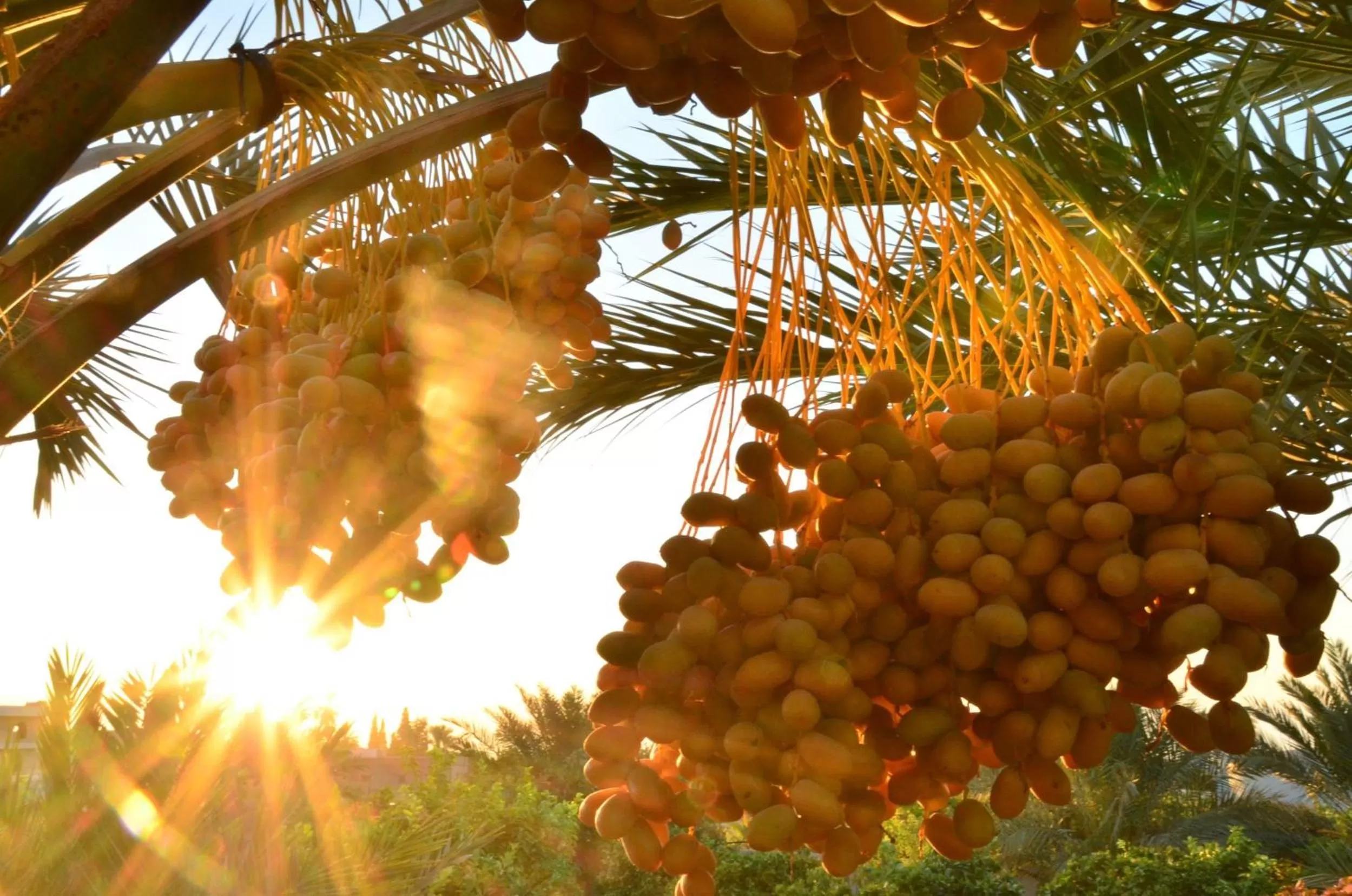 Summer in Auberg-Inn Guesthouse