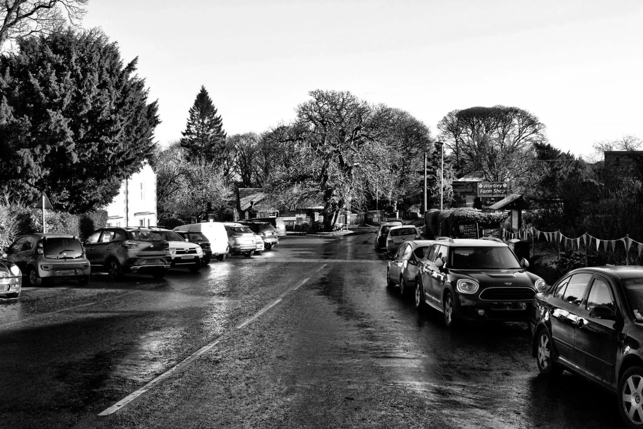 Street view in Wortley Cottage Guest House Street view in Wortley Cottage Guest House