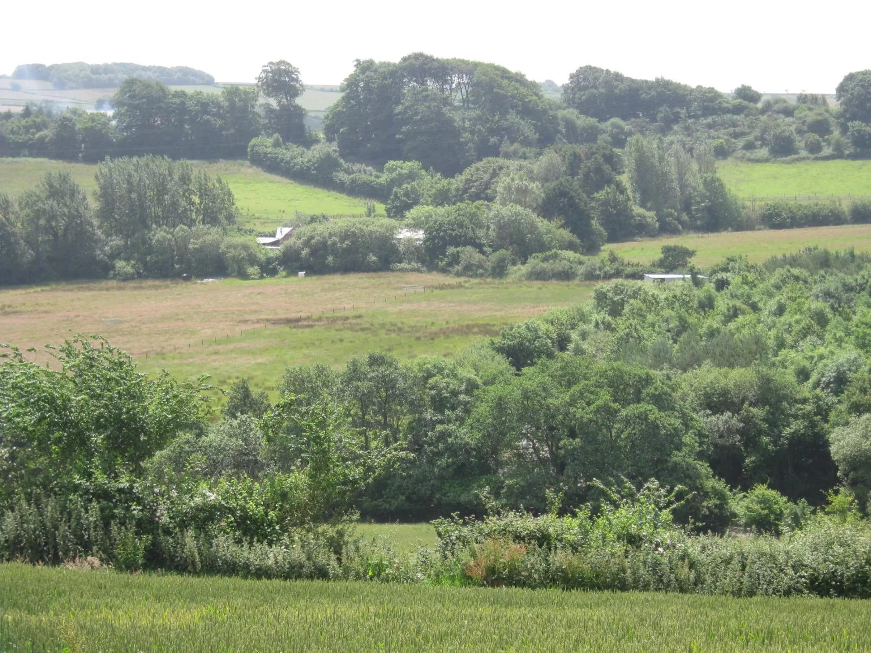 Activities in Hollamoor Farm