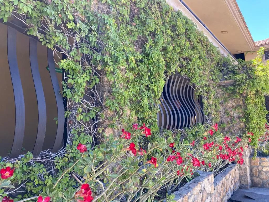 Off site in Cabo Vista Hotel Adults Only