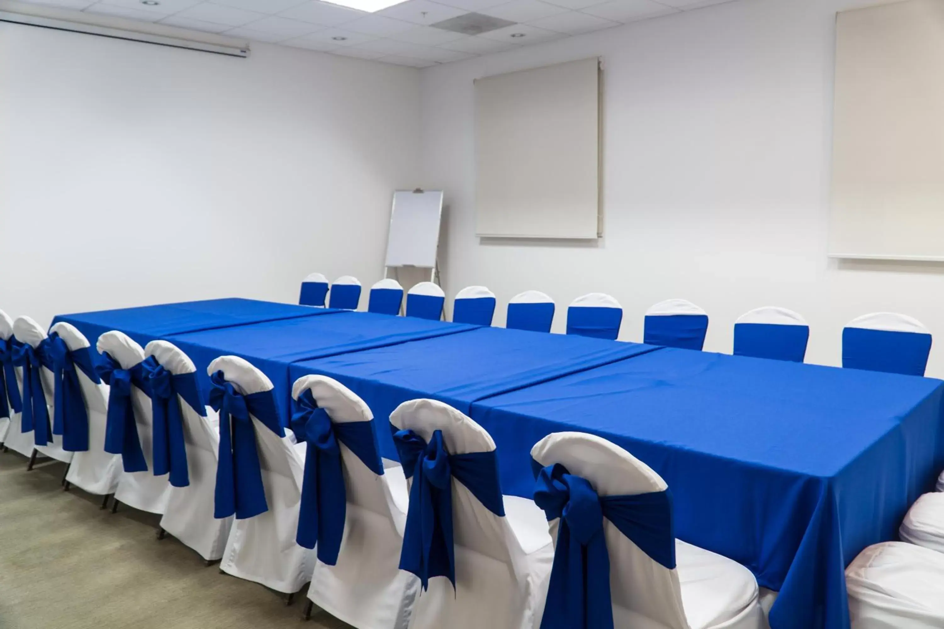 Meeting/conference room in Holiday Inn Express Managua, an IHG Hotel