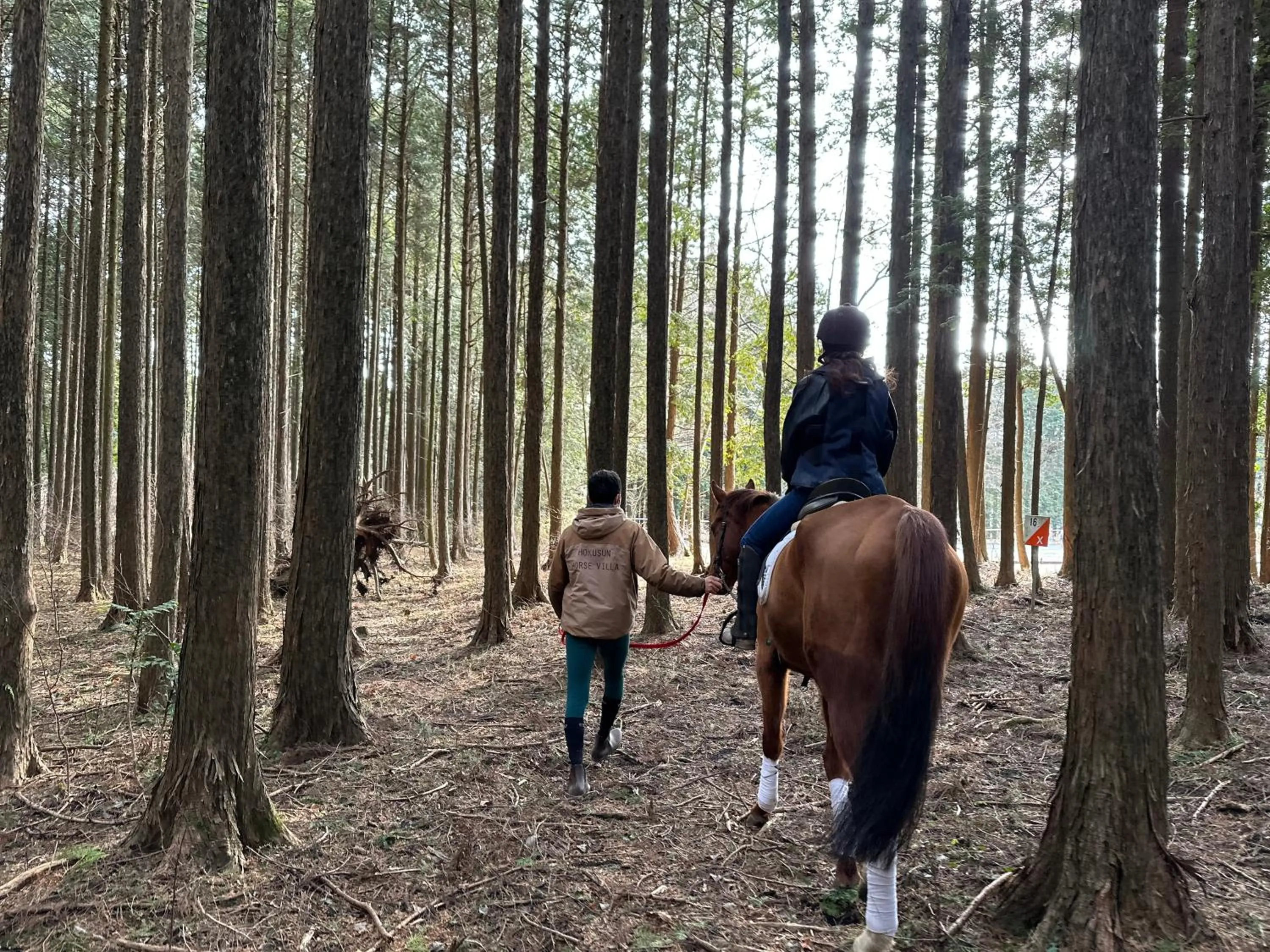 Horse-riding in Fuji Speedway Hotel, in The Unbound Collection by Hyatt