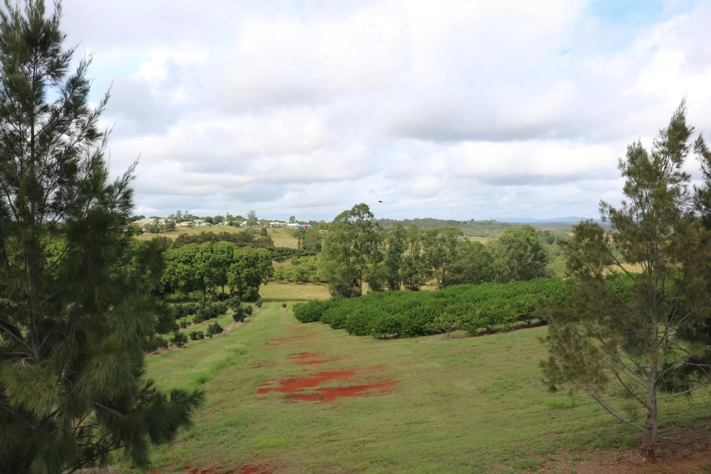Landmark view in Avocado Motor Inn