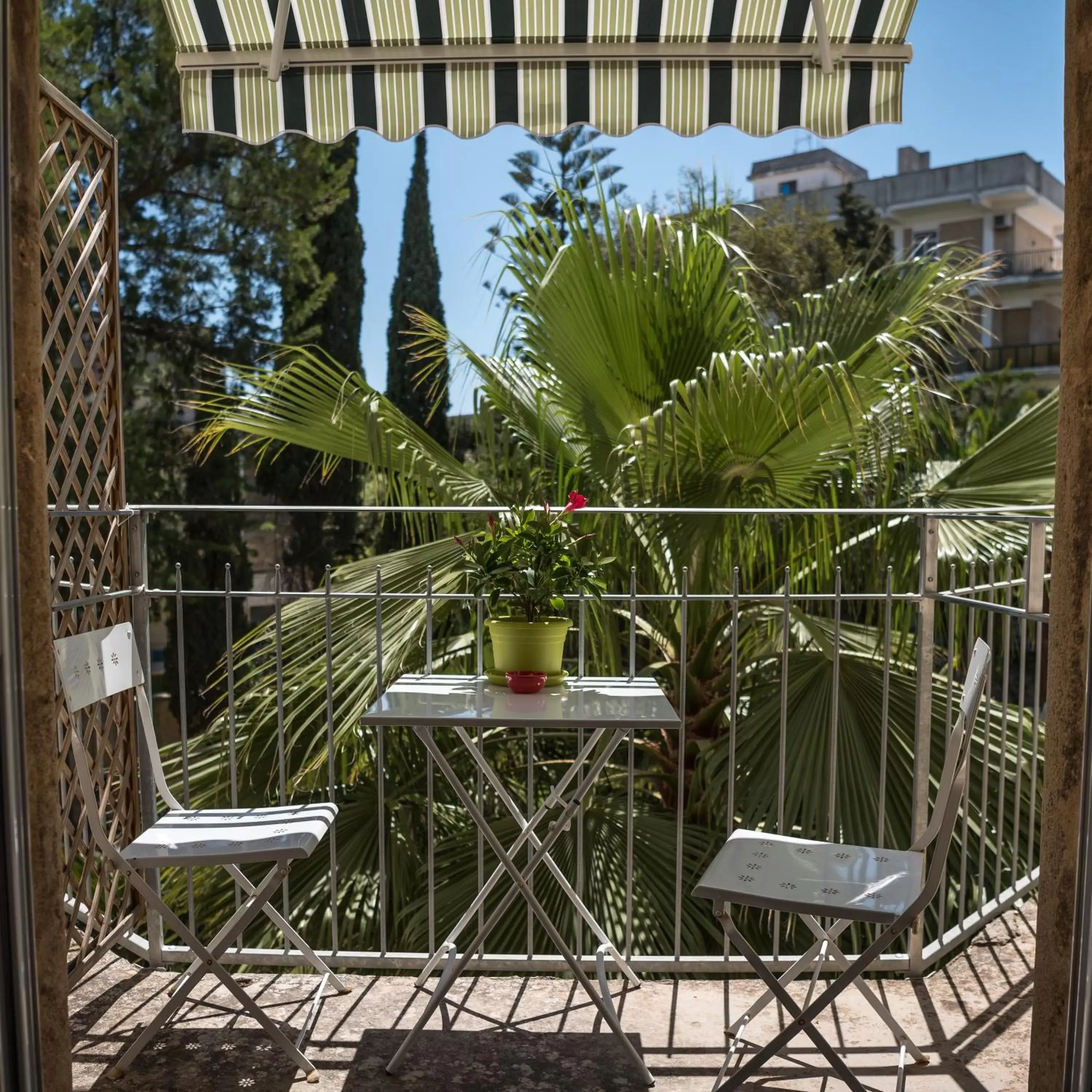 Garden view in Palazzo Bignami