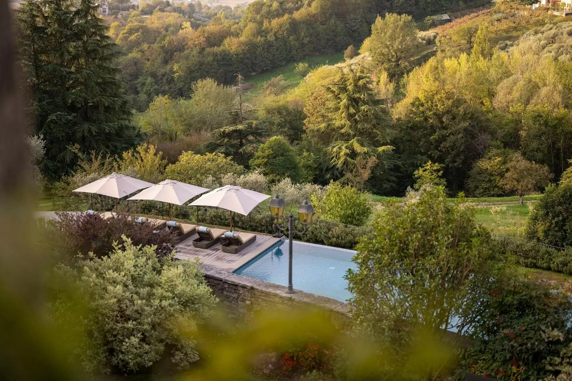 Natural landscape, Swimming Pool in Hotel Villa Cipriani