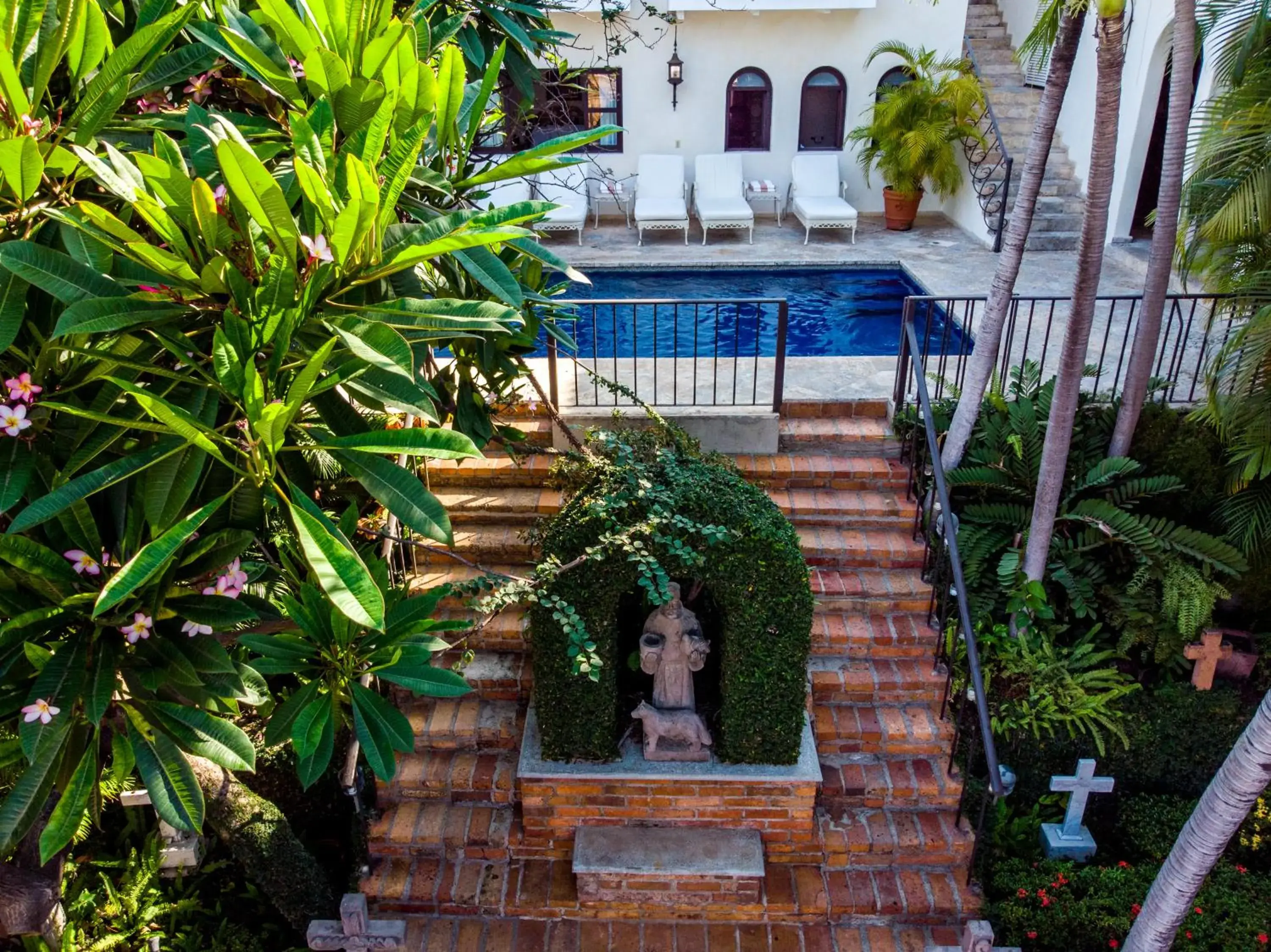 Garden in Hacienda San Angel