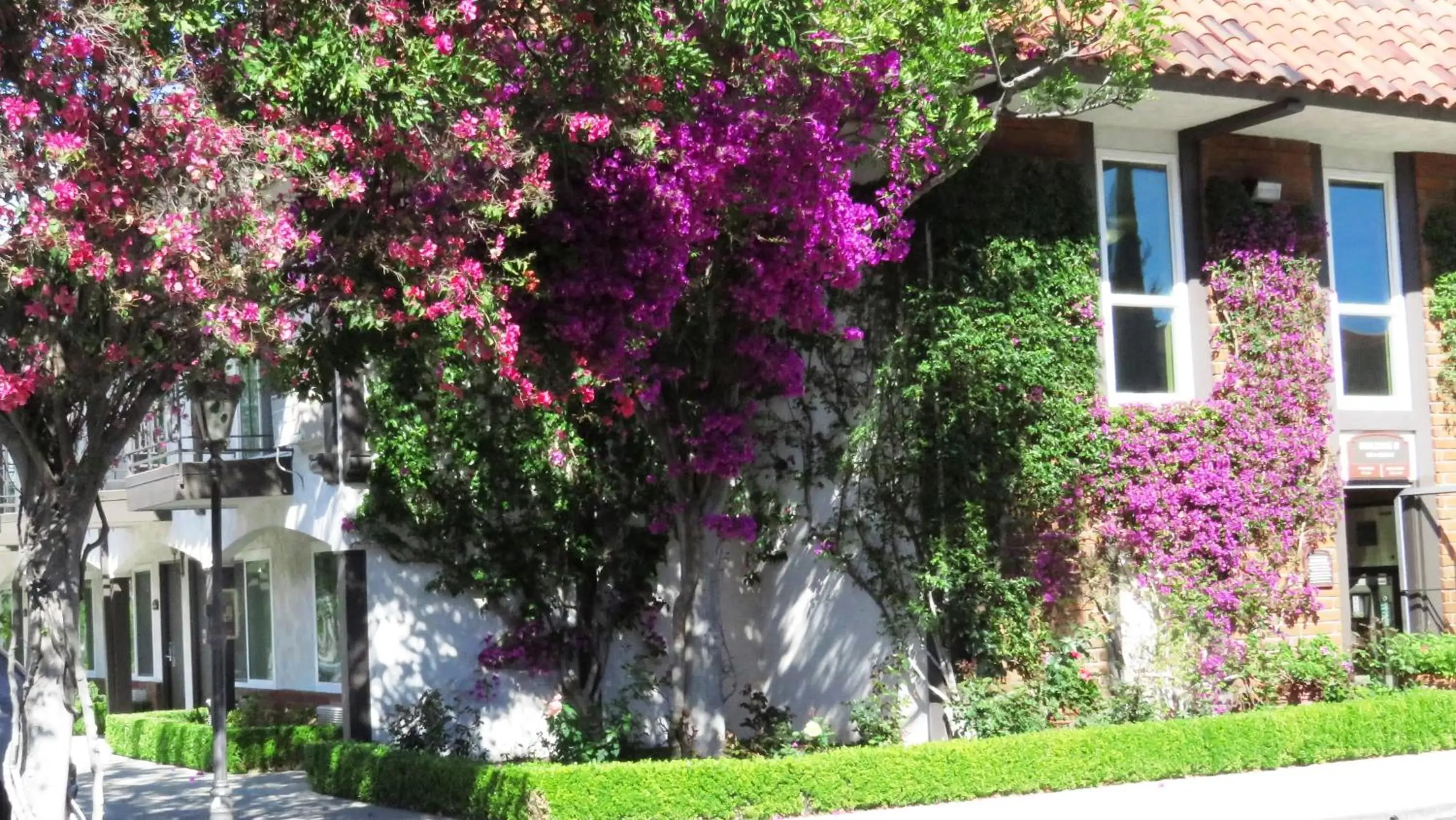 Property building, Garden in Laguna Hills Lodge-Irvine Spectrum