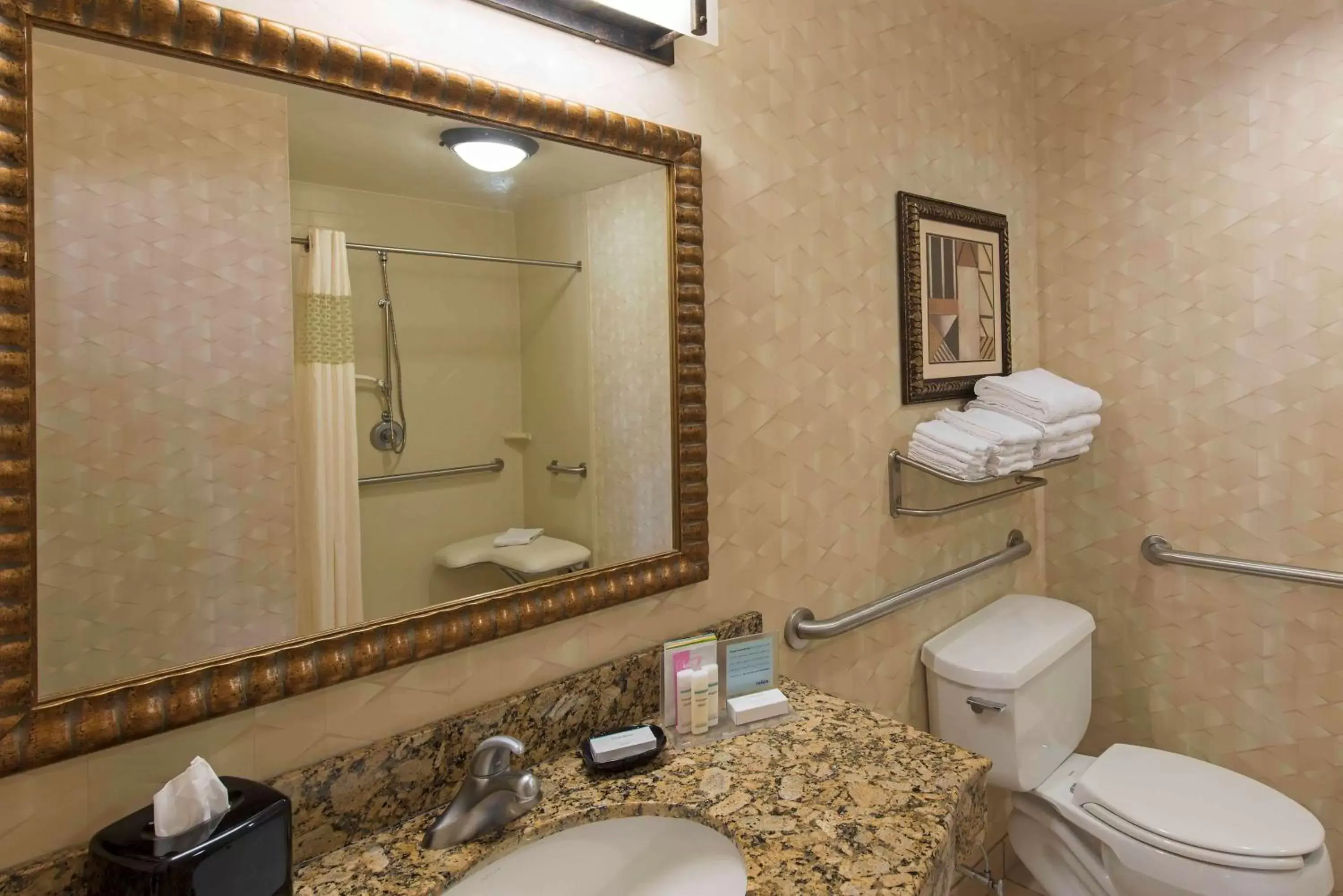 Bathroom in Hampton Inn and Suites Indianapolis-Fishers