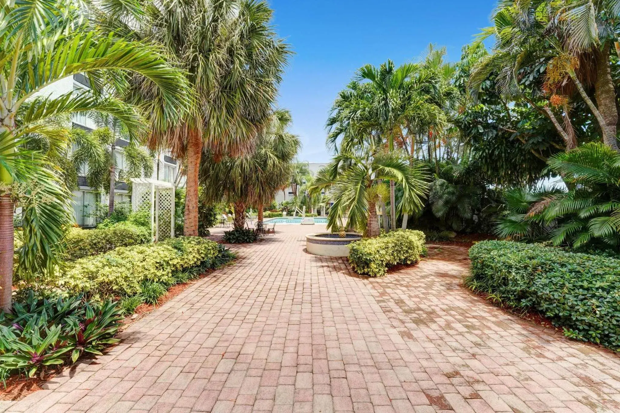 Garden in Plaza Hotel Fort Lauderdale