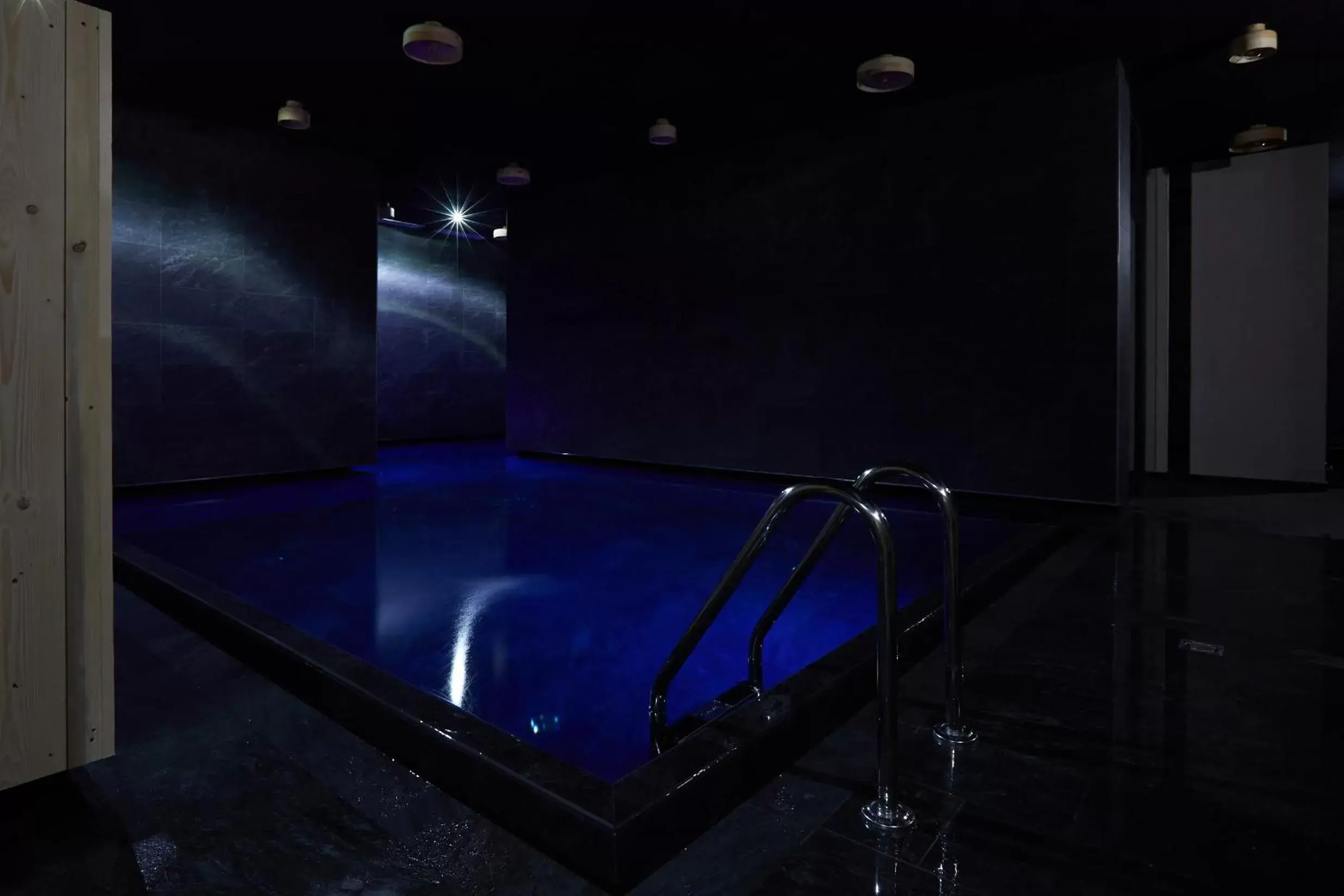 Spa and wellness centre/facilities, Swimming Pool in Bio Natur Refugium Blaslahof ****