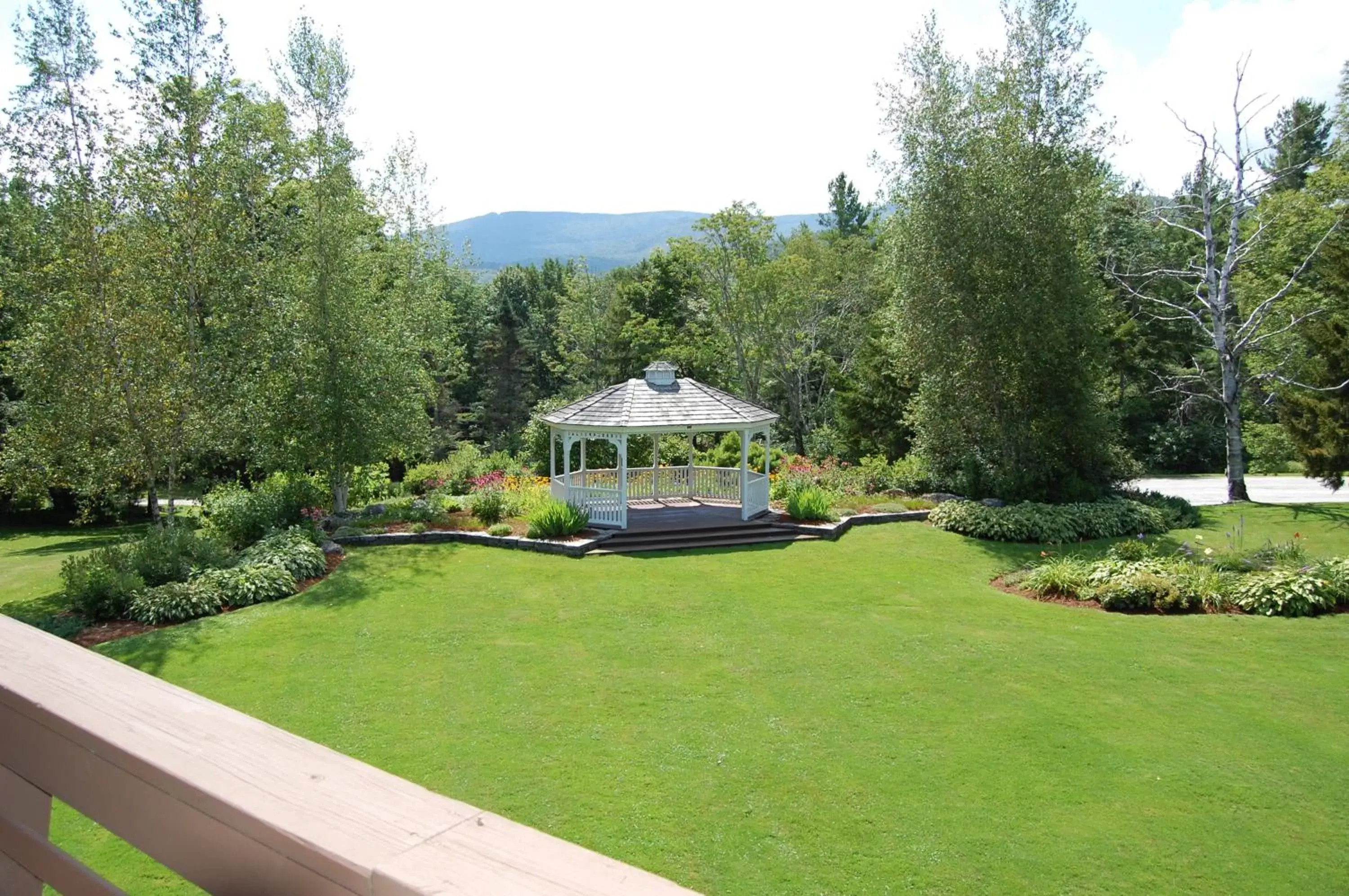 Natural landscape in Summit Lodge