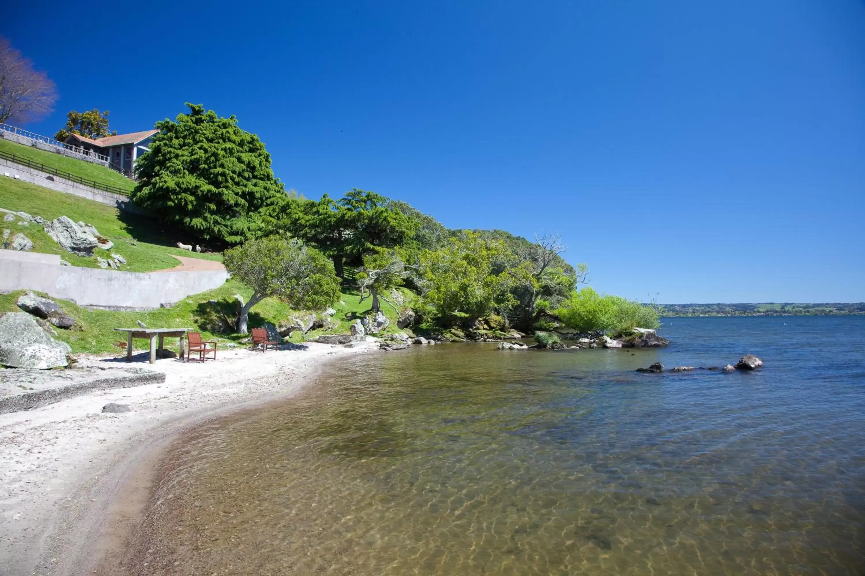 Natural landscape, Beach in On The Point - Lake Rotorua