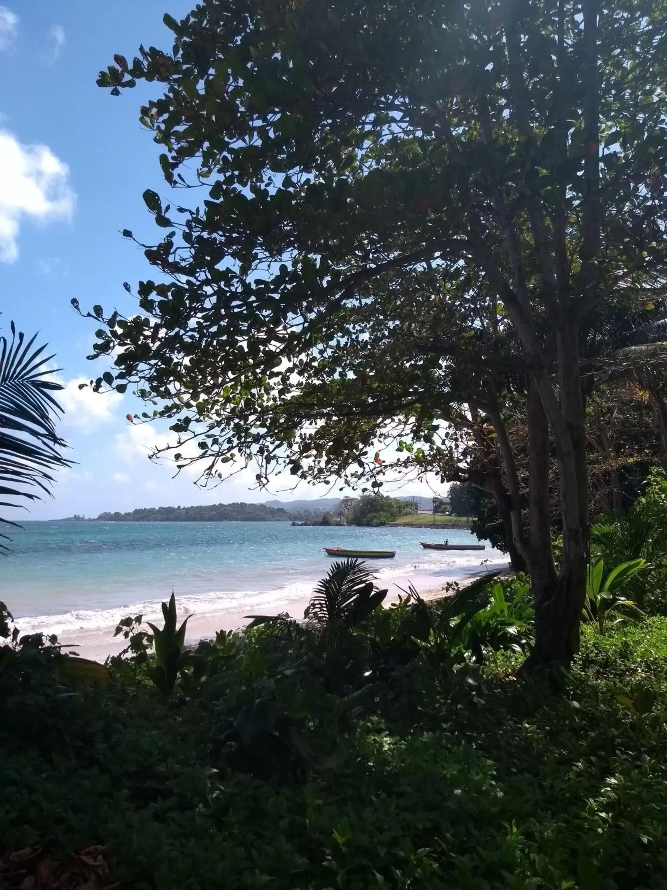 Beach in Port Antonio Brian's Beach House