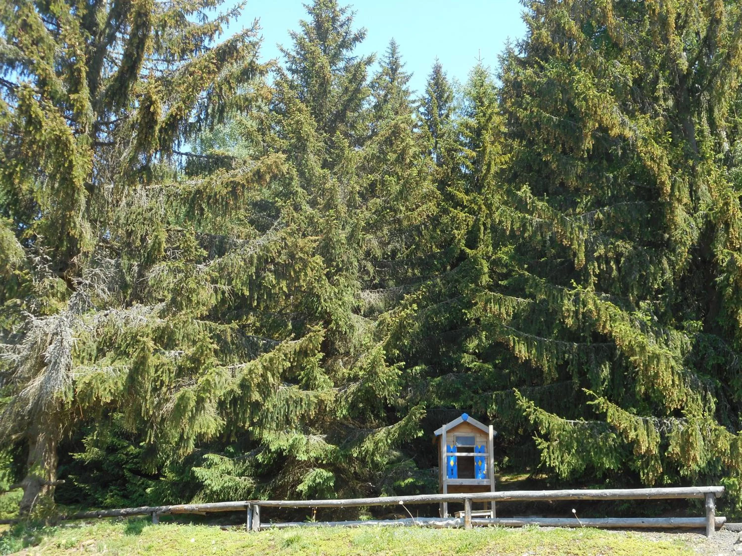 Garden view in Pension U Jelinka