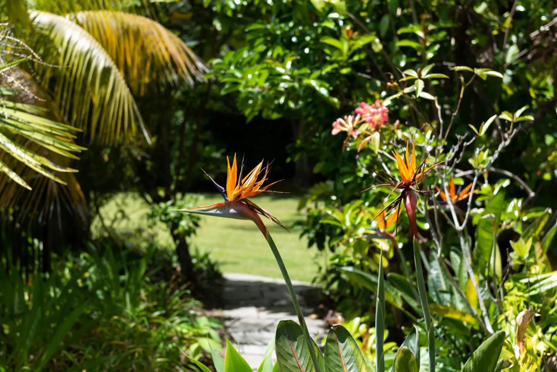 Garden in Pāteke Lodge