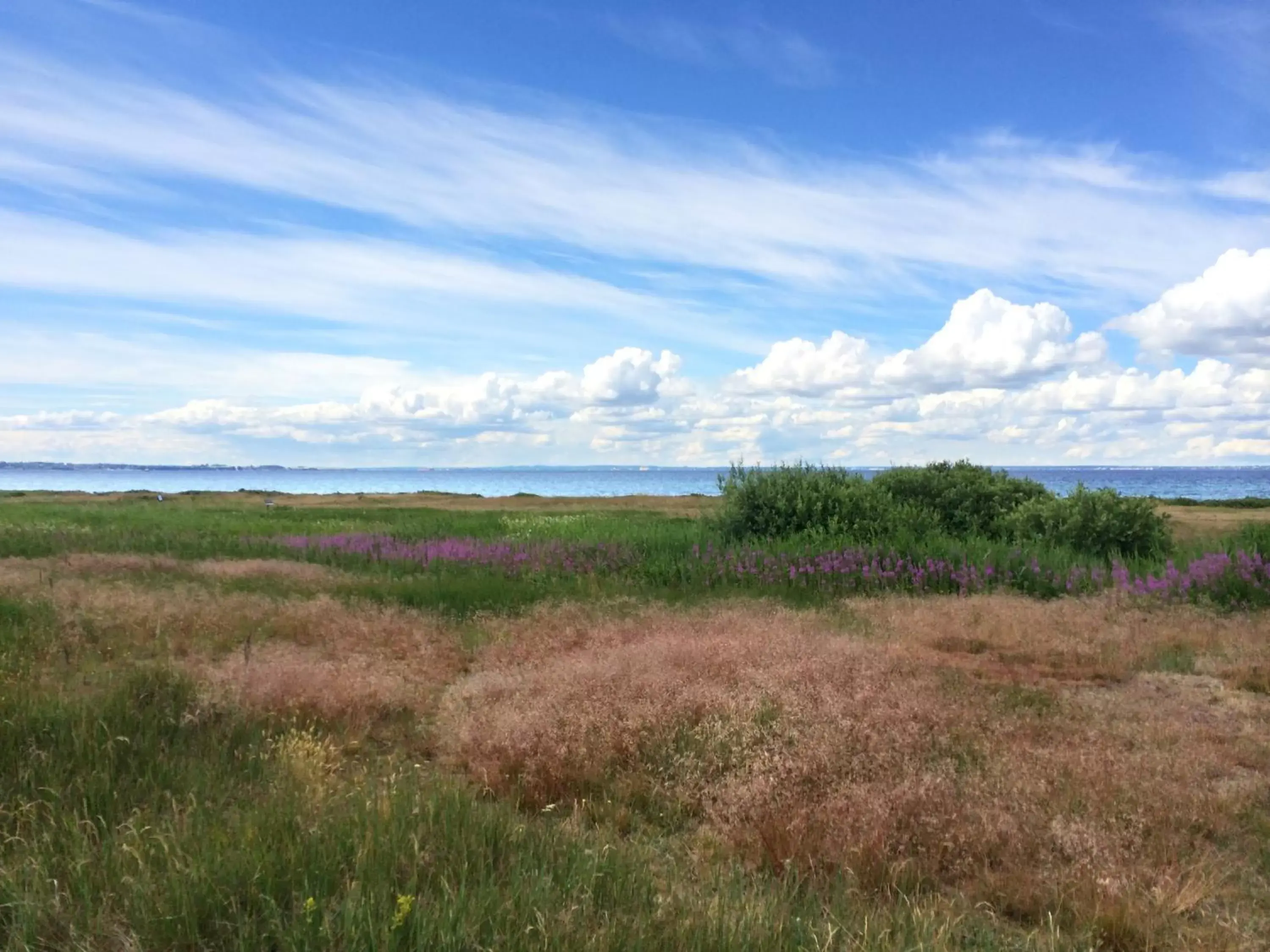 Off site, Natural Landscape in Sundsgården hotell & konferens