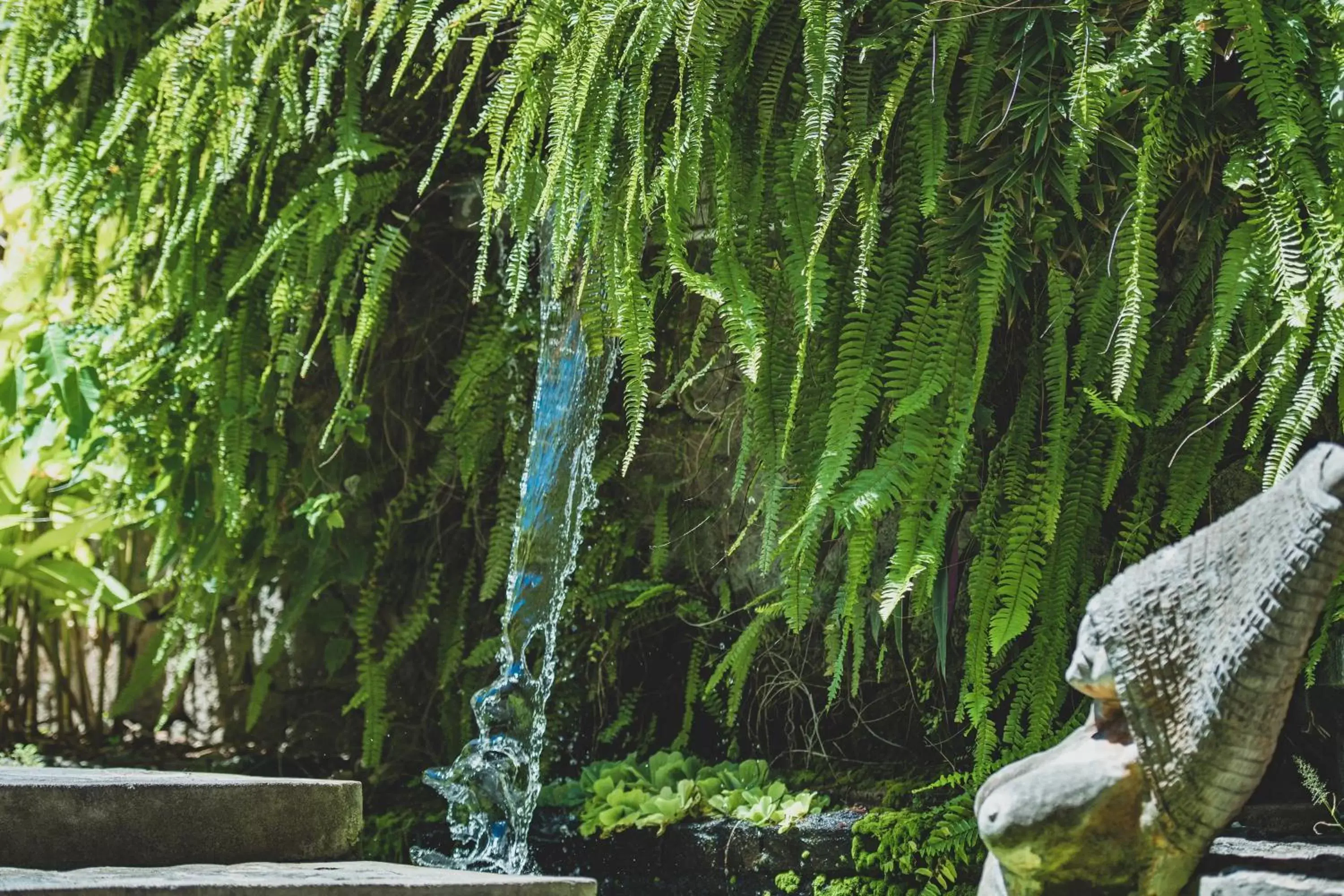 Facade/entrance in Aanari Hotel & Spa- Mauritius Facade/entrance in Aanari Hotel & Spa- Mauritius