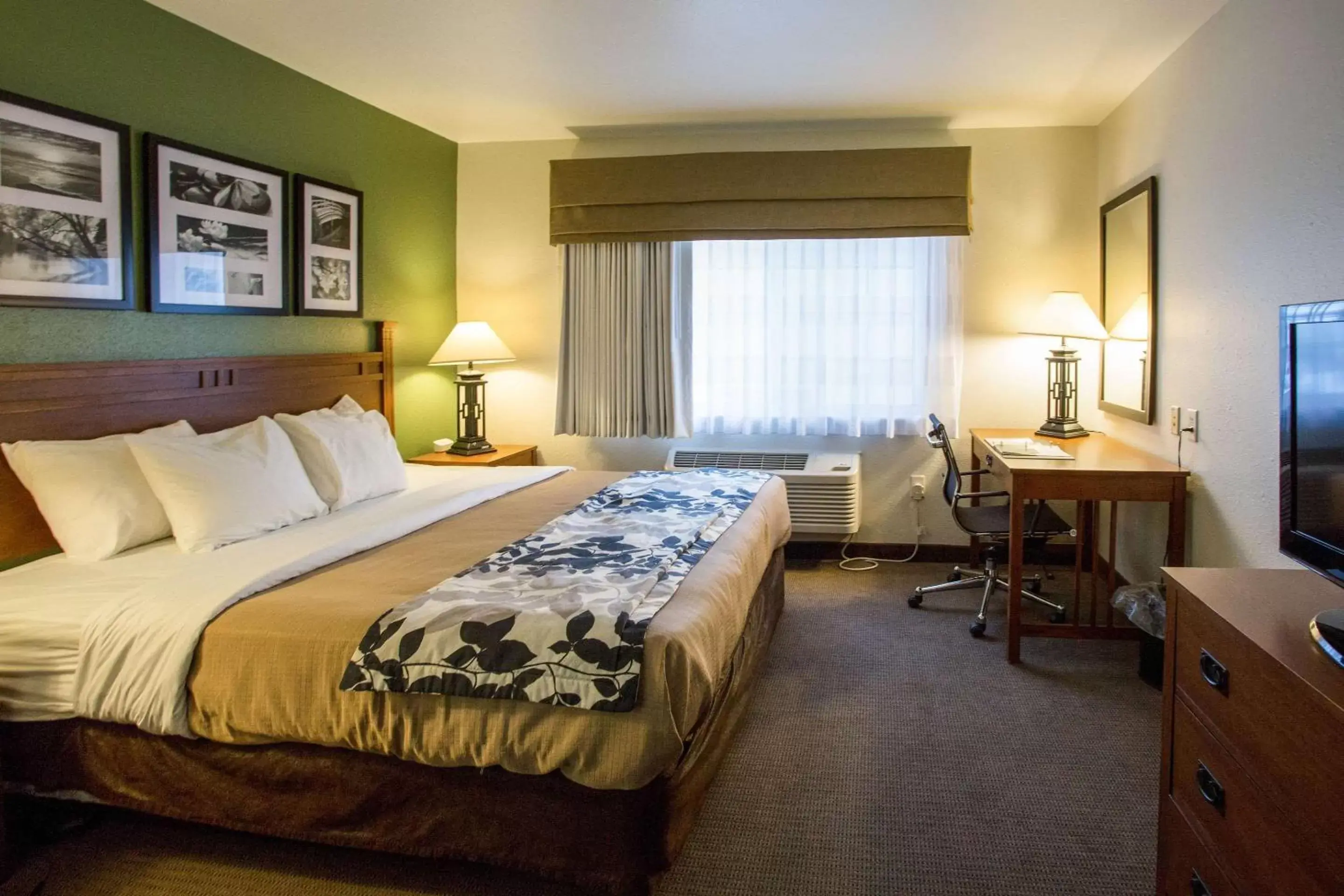 Photo of the whole room, Bed in Sleep Inn & Suites Conference Center Eau Claire