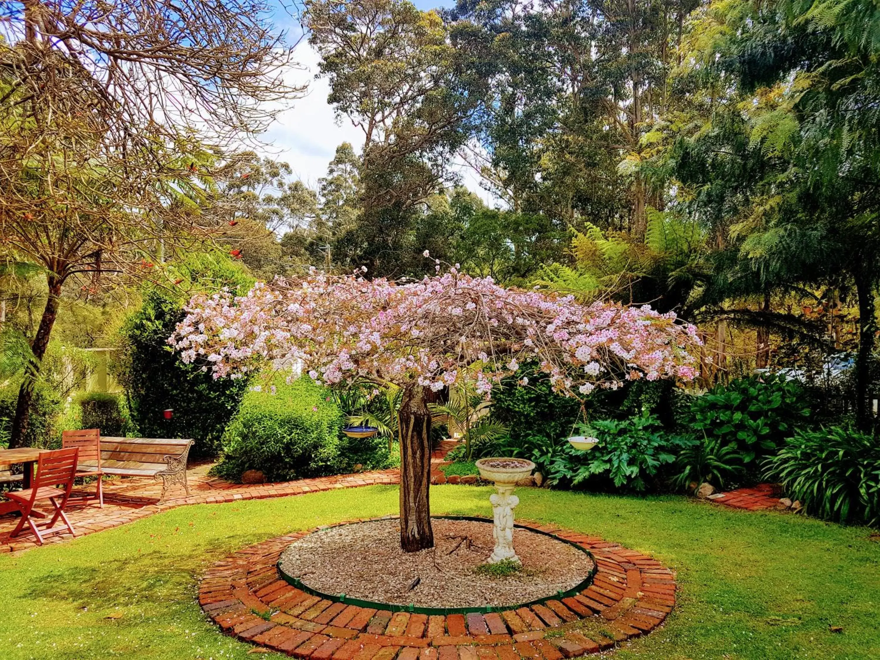 Garden in Adamsons Riverside Accommodation