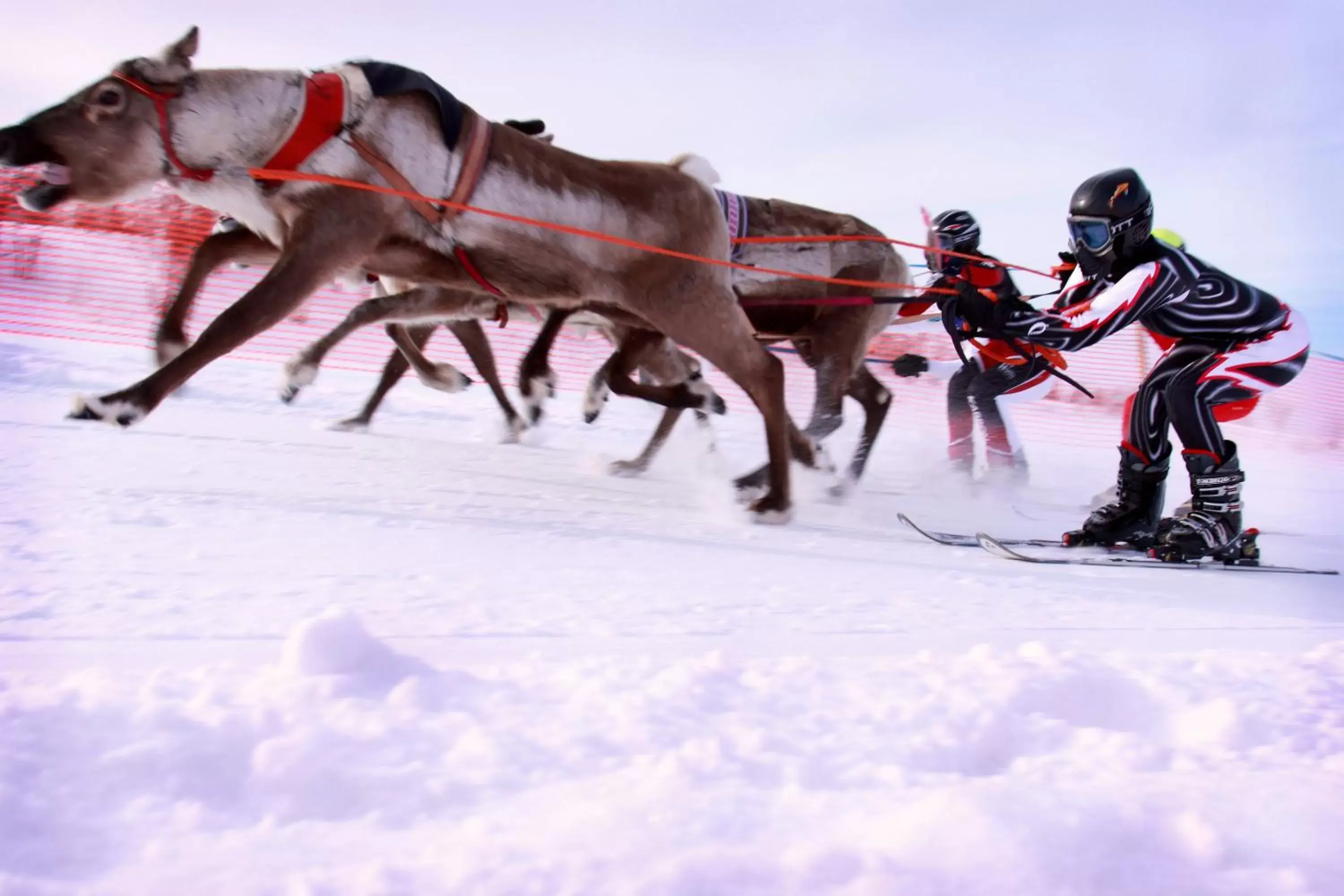 Entertainment, Horseback Riding in Thon Hotel Kautokeino