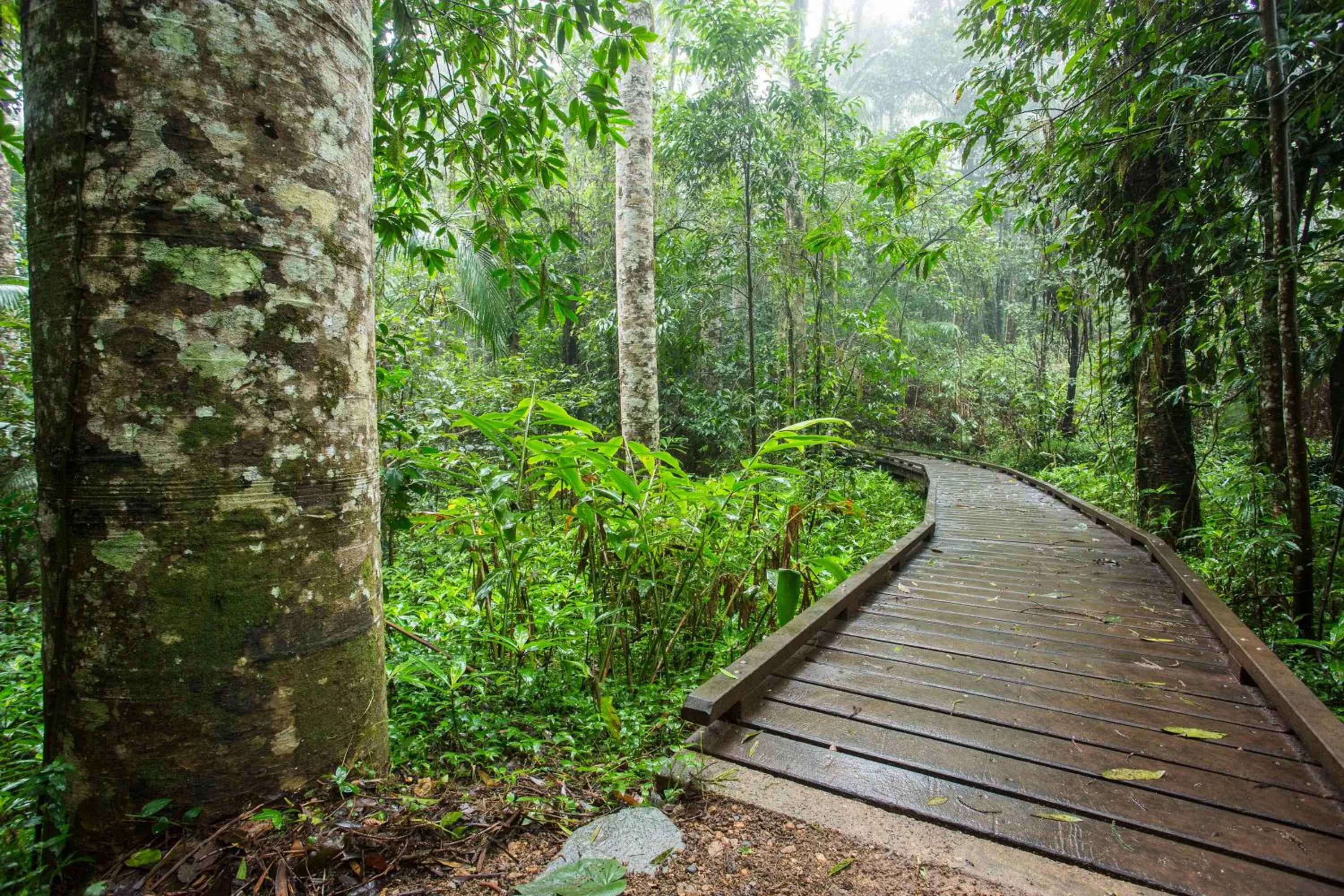 Nearby landmark in Riviera Mackay