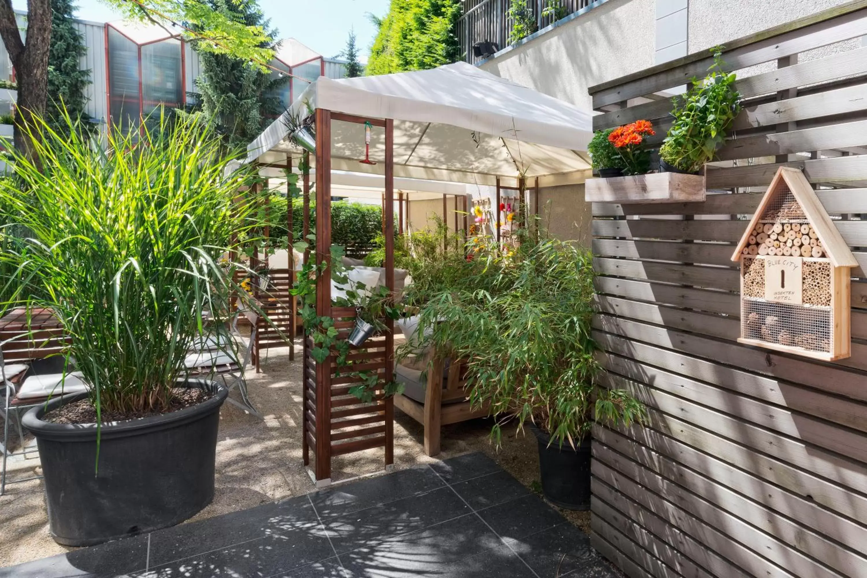 Day, Patio/Outdoor Area in Blue City Boutique Hotel