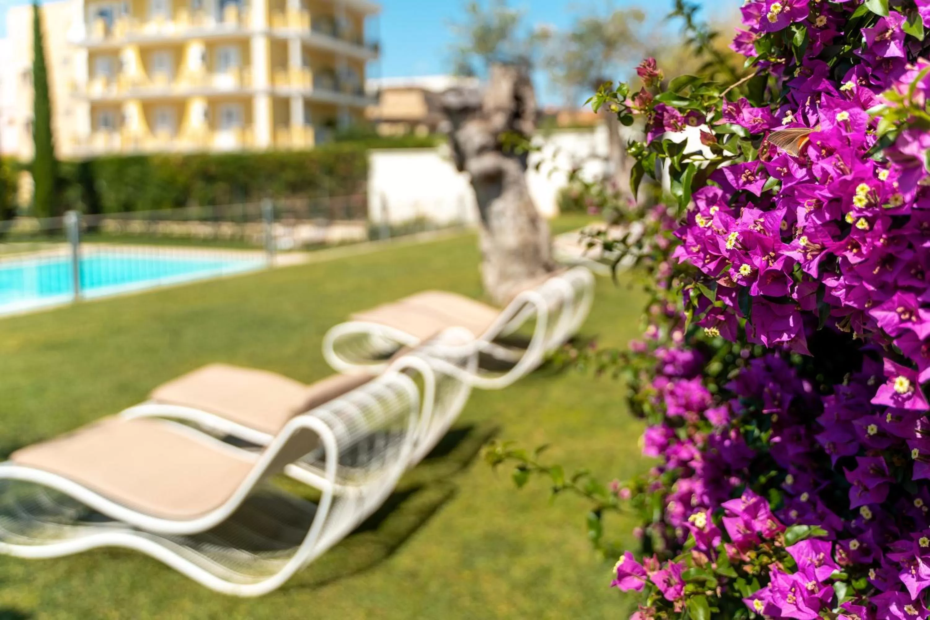 Swimming pool in Victoria Palace Hotel & Zen Wellness