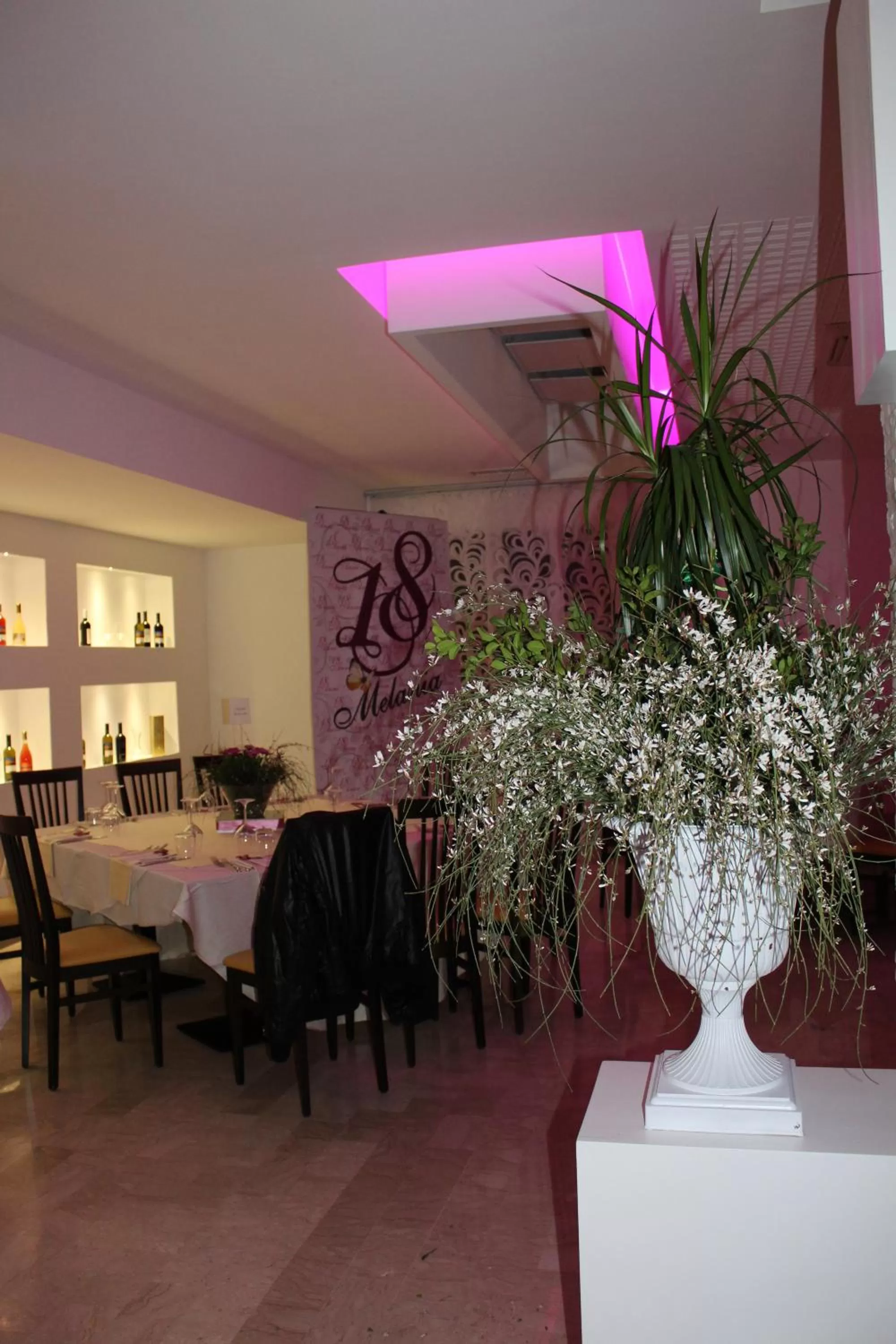 Restaurant/places to eat in Hotel Miramare