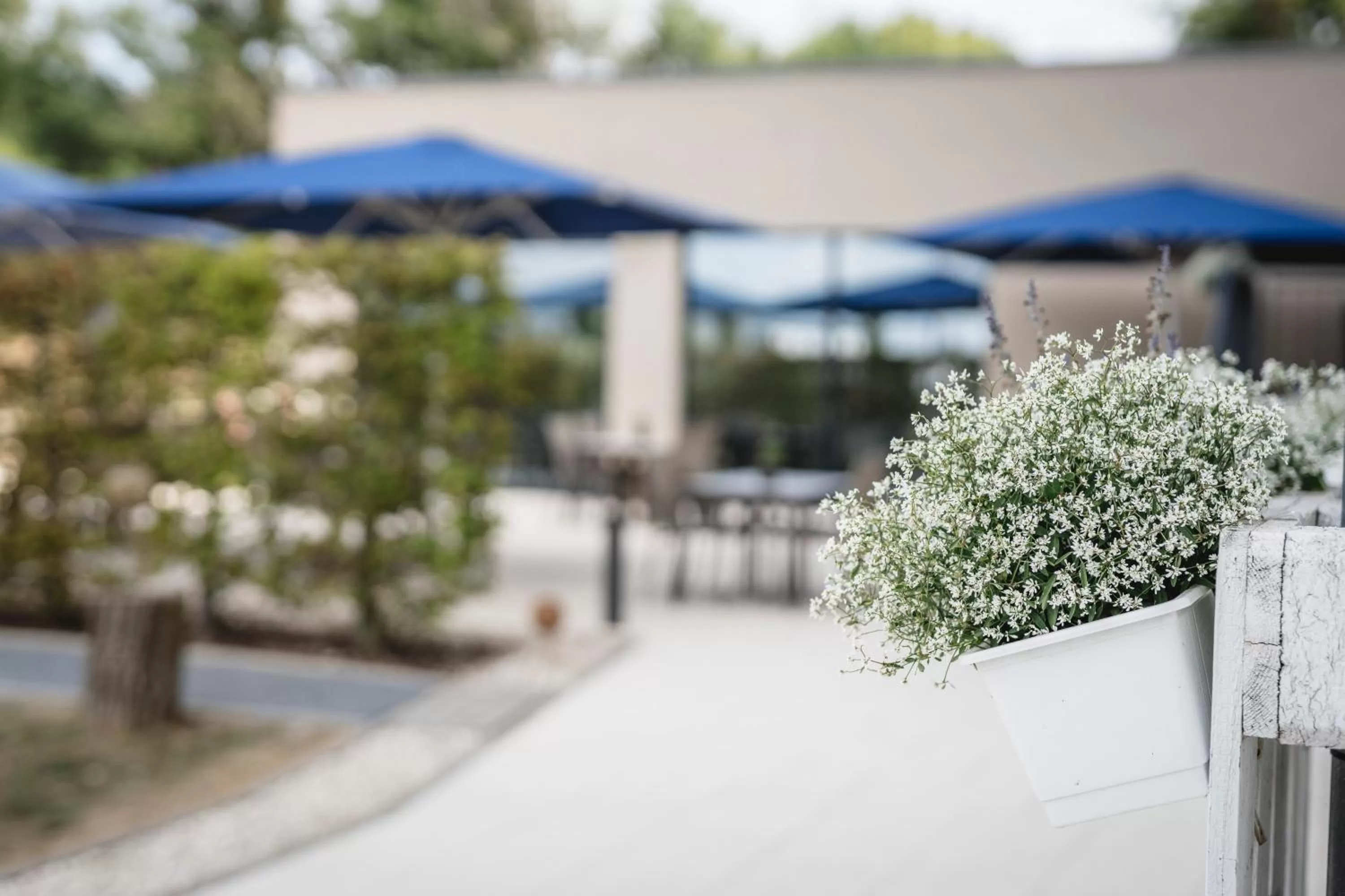 Balcony/Terrace in i - PARK Hotel Reichenberg