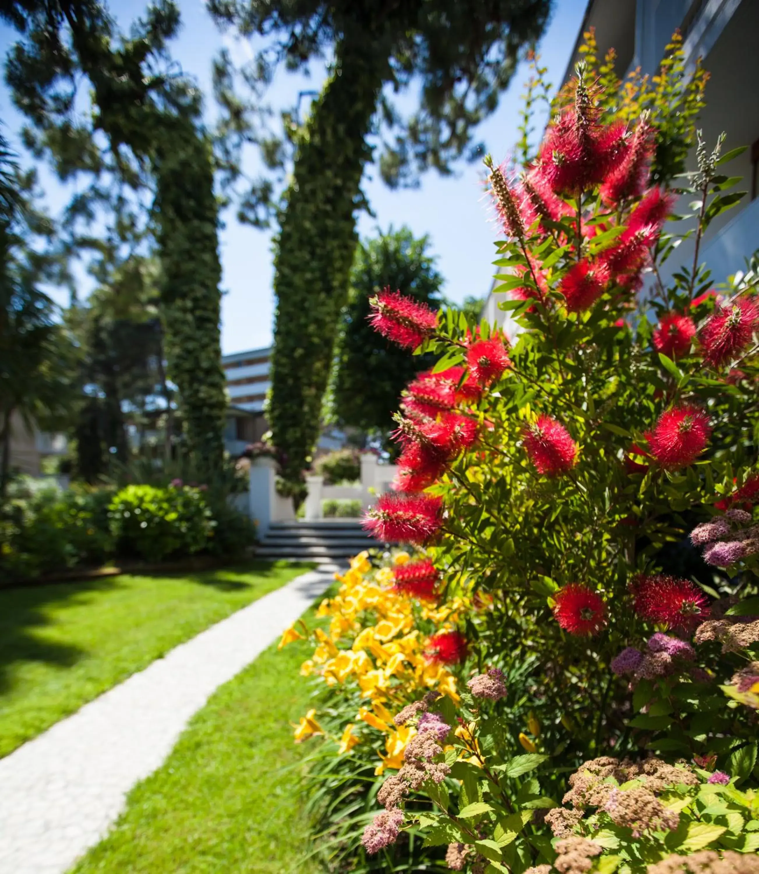 Spring, Garden in Hotel Mar Del Plata