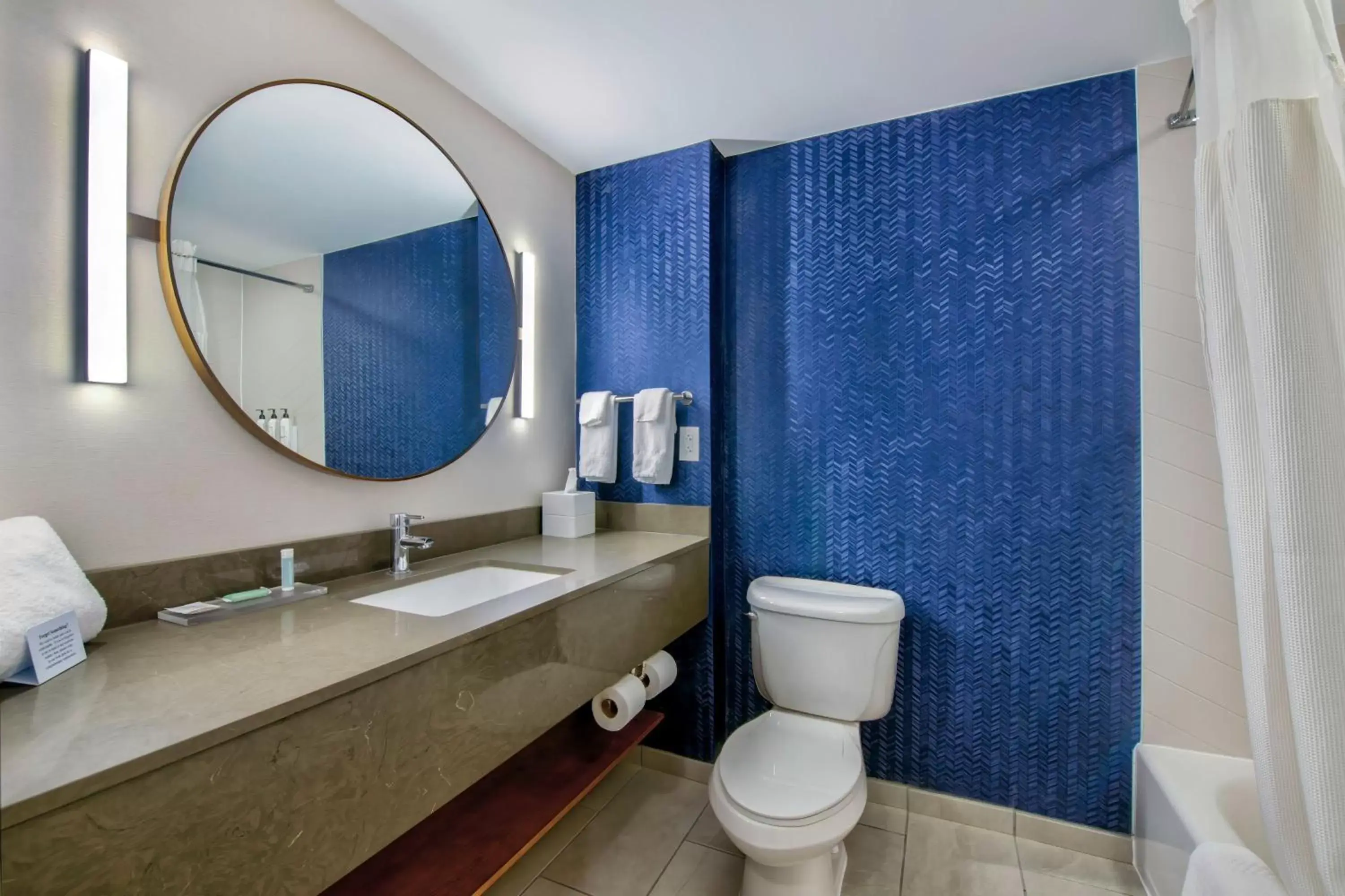 Bathroom in Fairfield Inn & Suites by Marriott Cortland