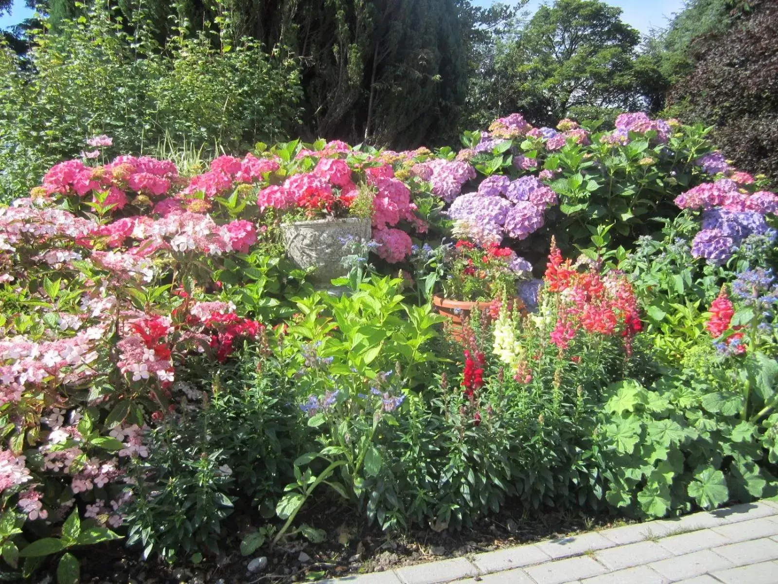 Property building, Garden in Conways B&B