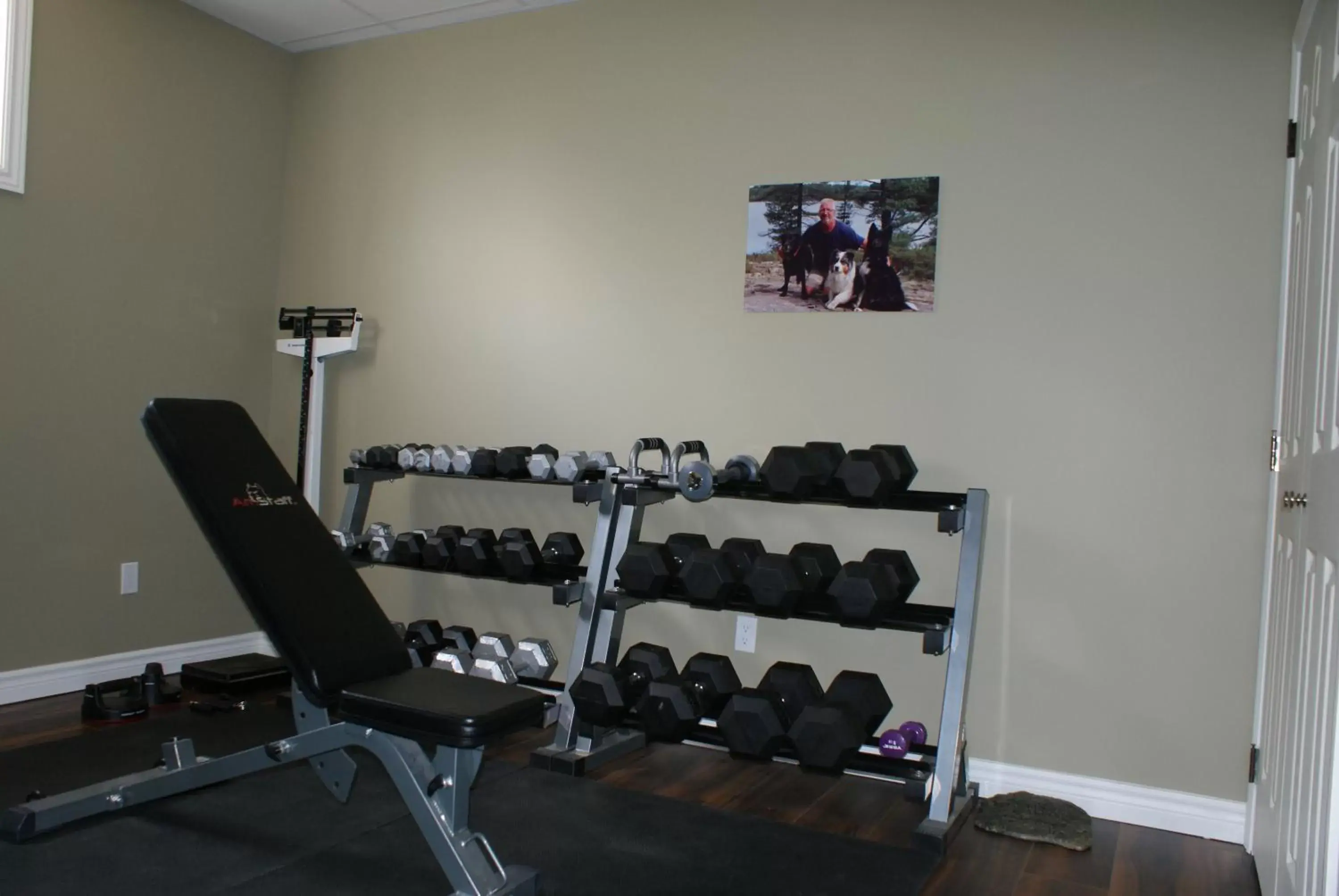 Fitness centre/facilities, Fitness Center/Facilities in Top of Algonquin Bed and Breakfast