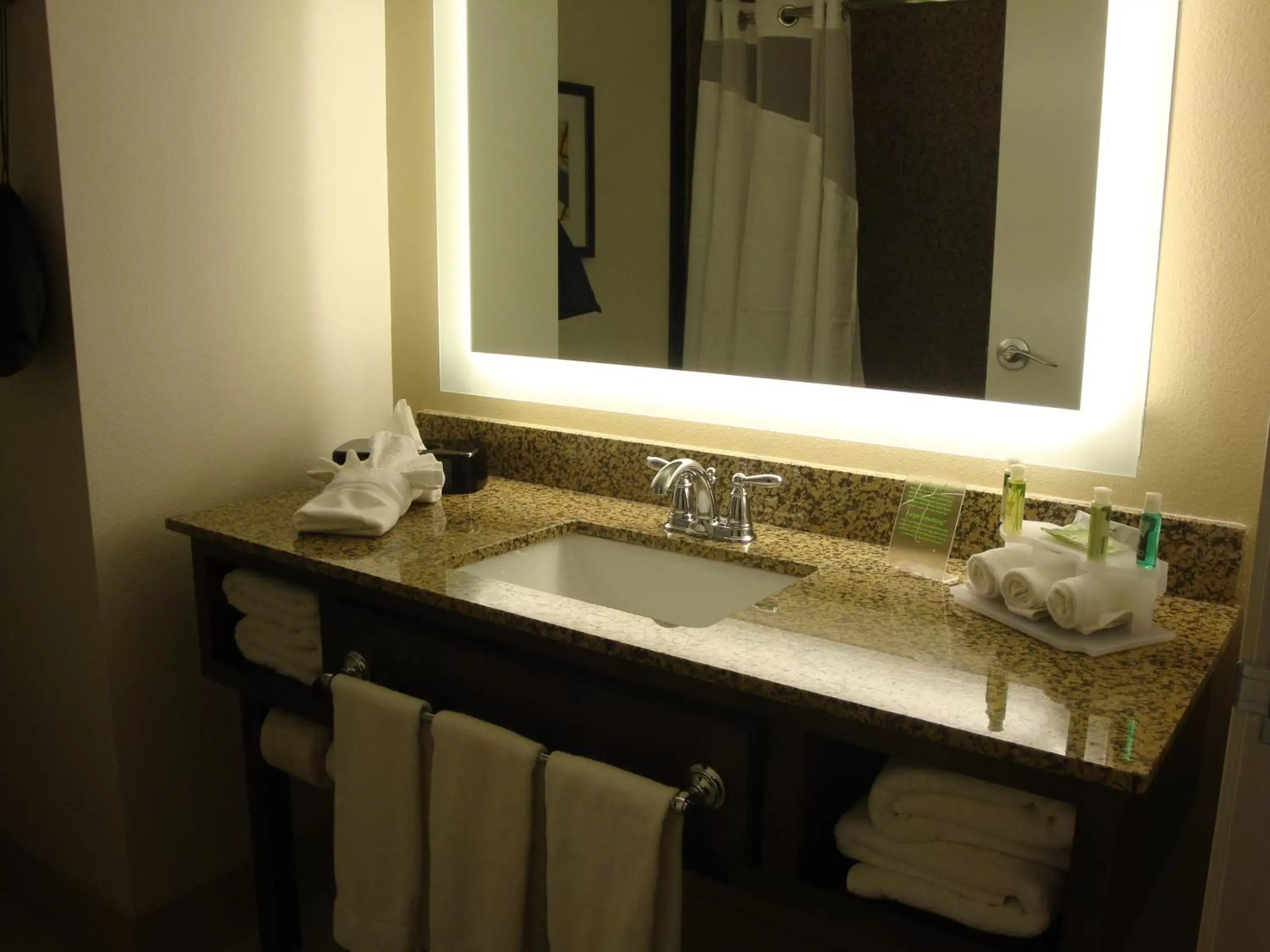 Bathroom in Holiday Inn Express Pocatello, an IHG Hotel